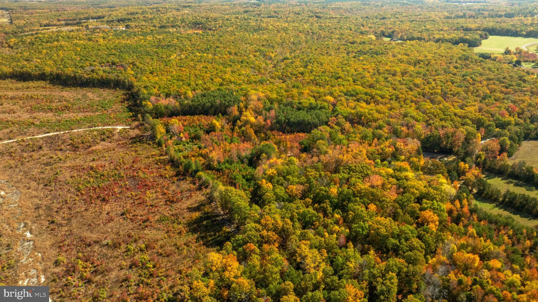 Spotsylvania, Virginia 22408, United States, ,Land,Contingent,36615