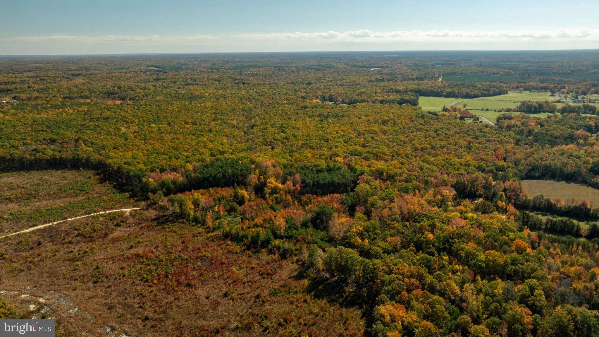 Spotsylvania, Virginia 22408, United States, ,Land,Contingent,36615