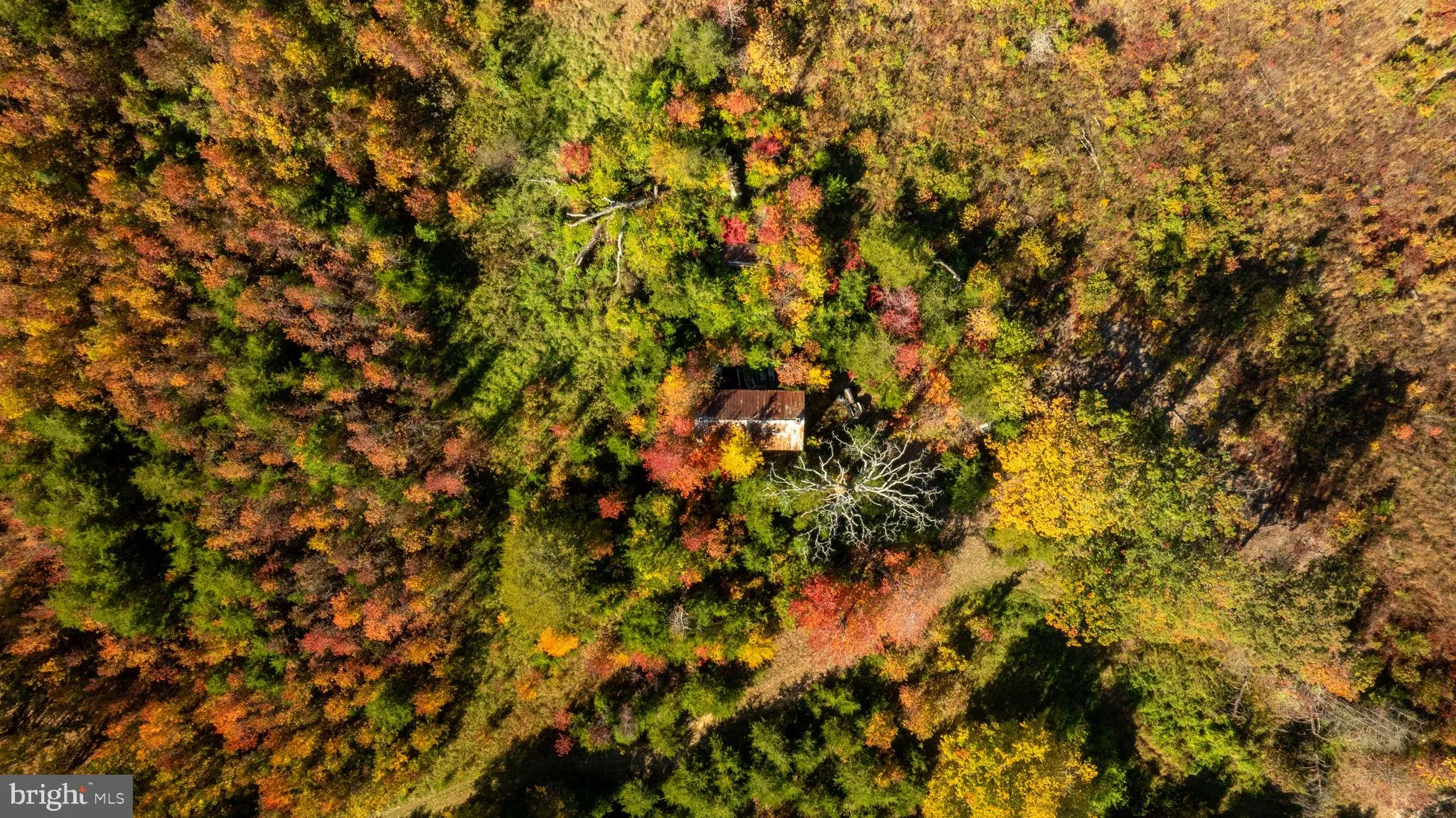 Spotsylvania, Virginia 22408, United States, ,Land,Contingent,36615