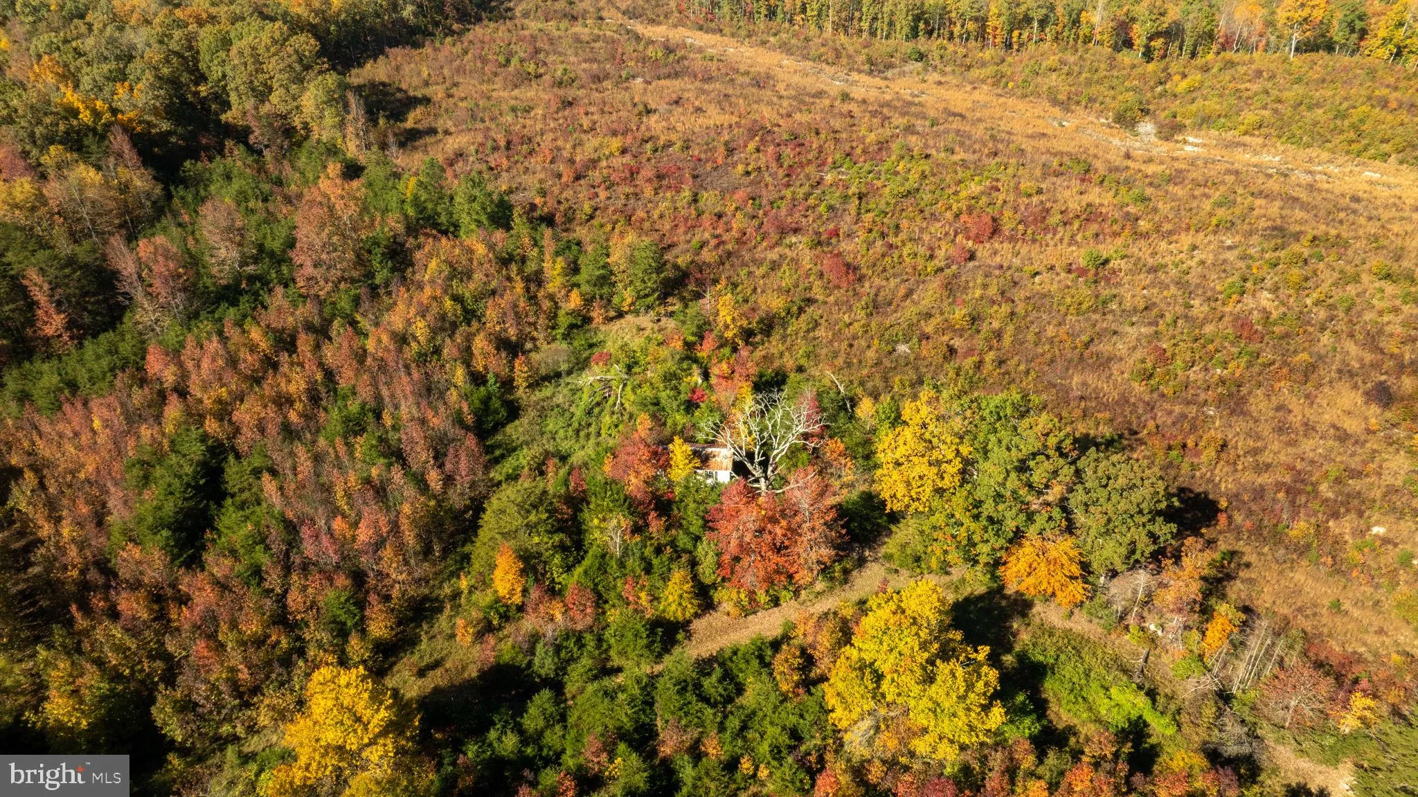 Spotsylvania, Virginia 22408, United States, ,Land,Contingent,36615