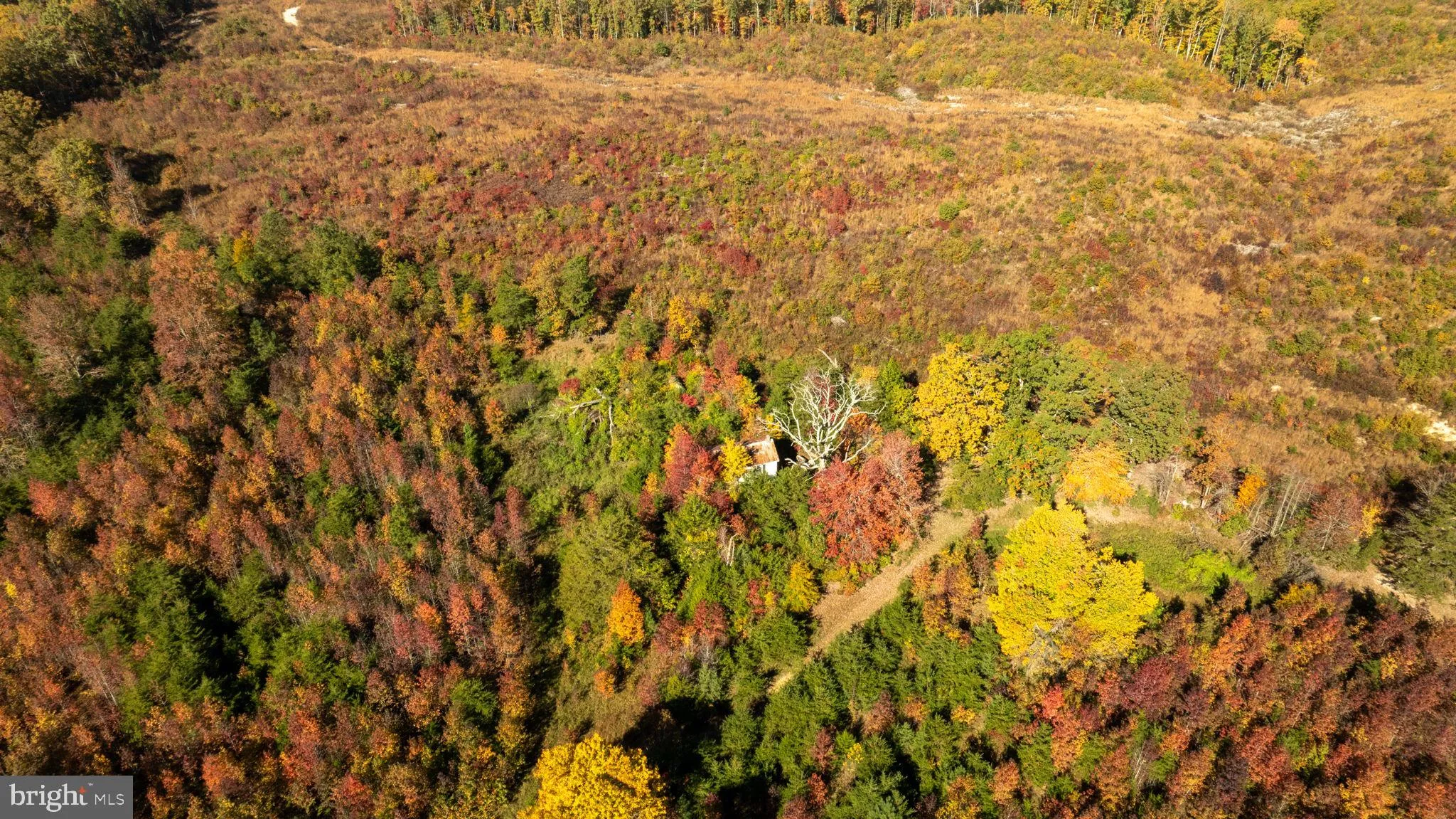Spotsylvania, Virginia 22408, United States, ,Land,Contingent,36615