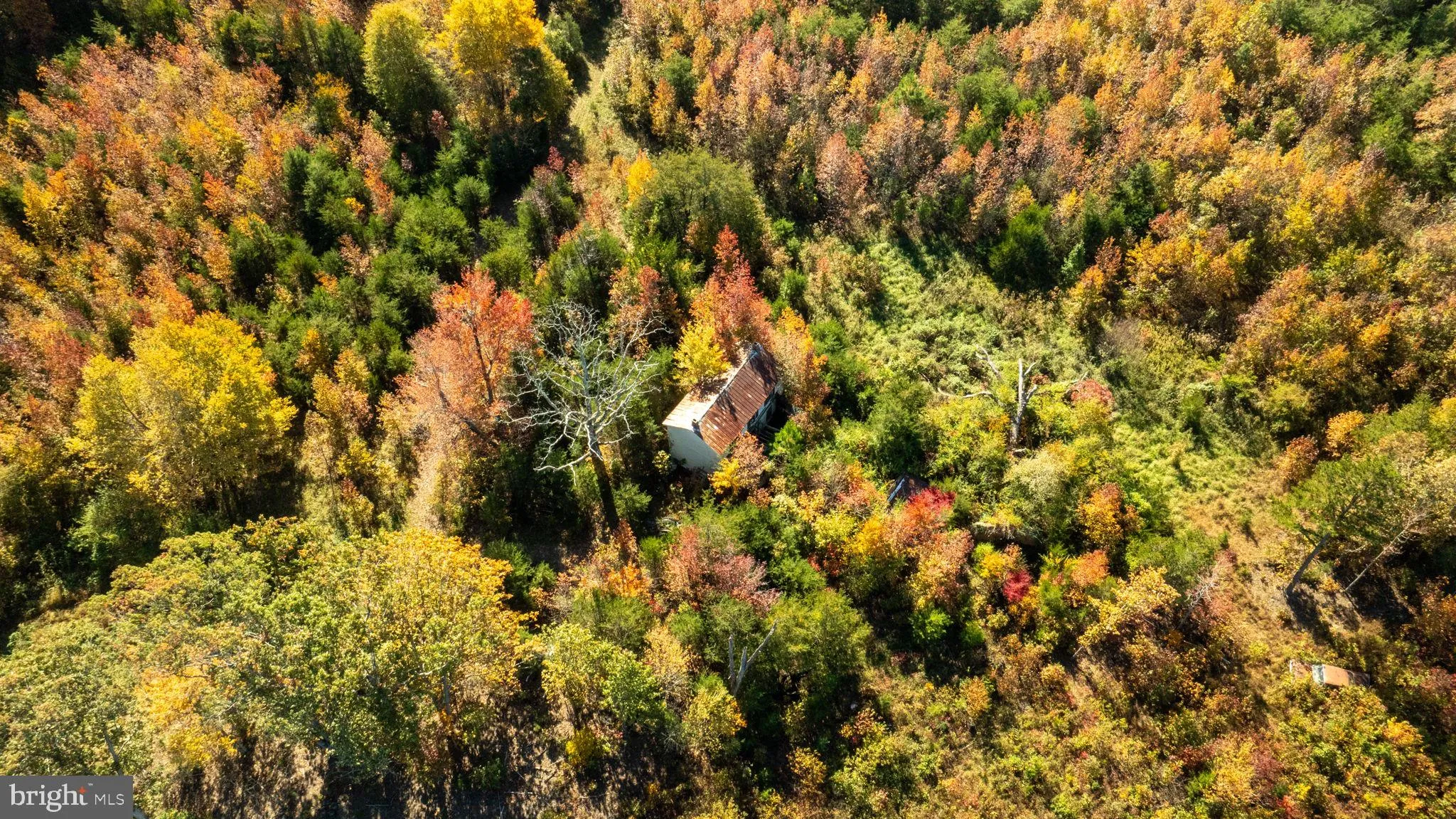 Spotsylvania, Virginia 22408, United States, ,Land,Contingent,36615