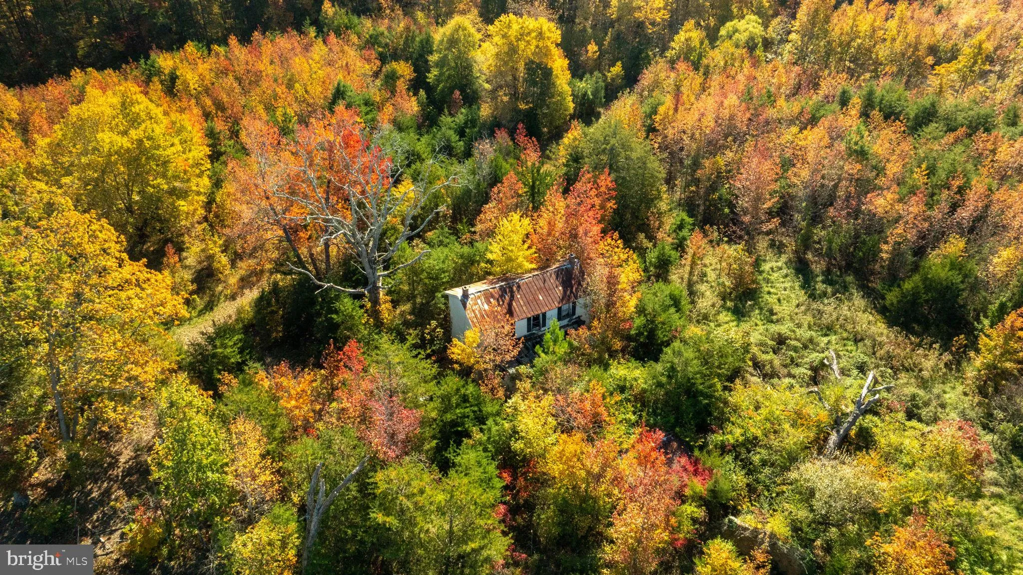 Spotsylvania, Virginia 22408, United States, ,Land,Contingent,36615