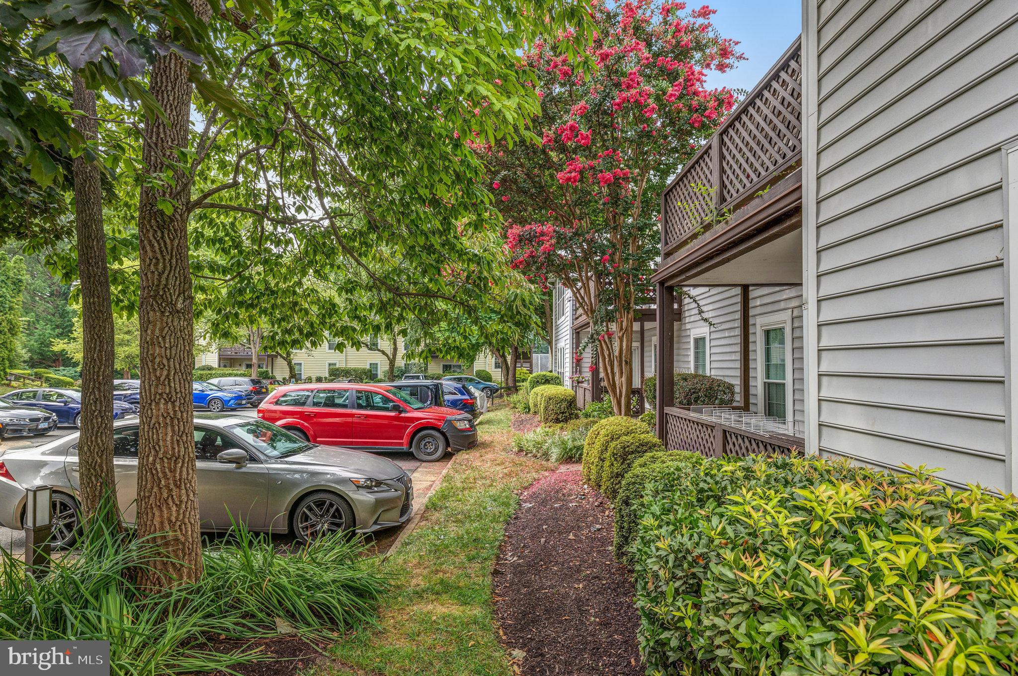 THE OAKTON - Residential