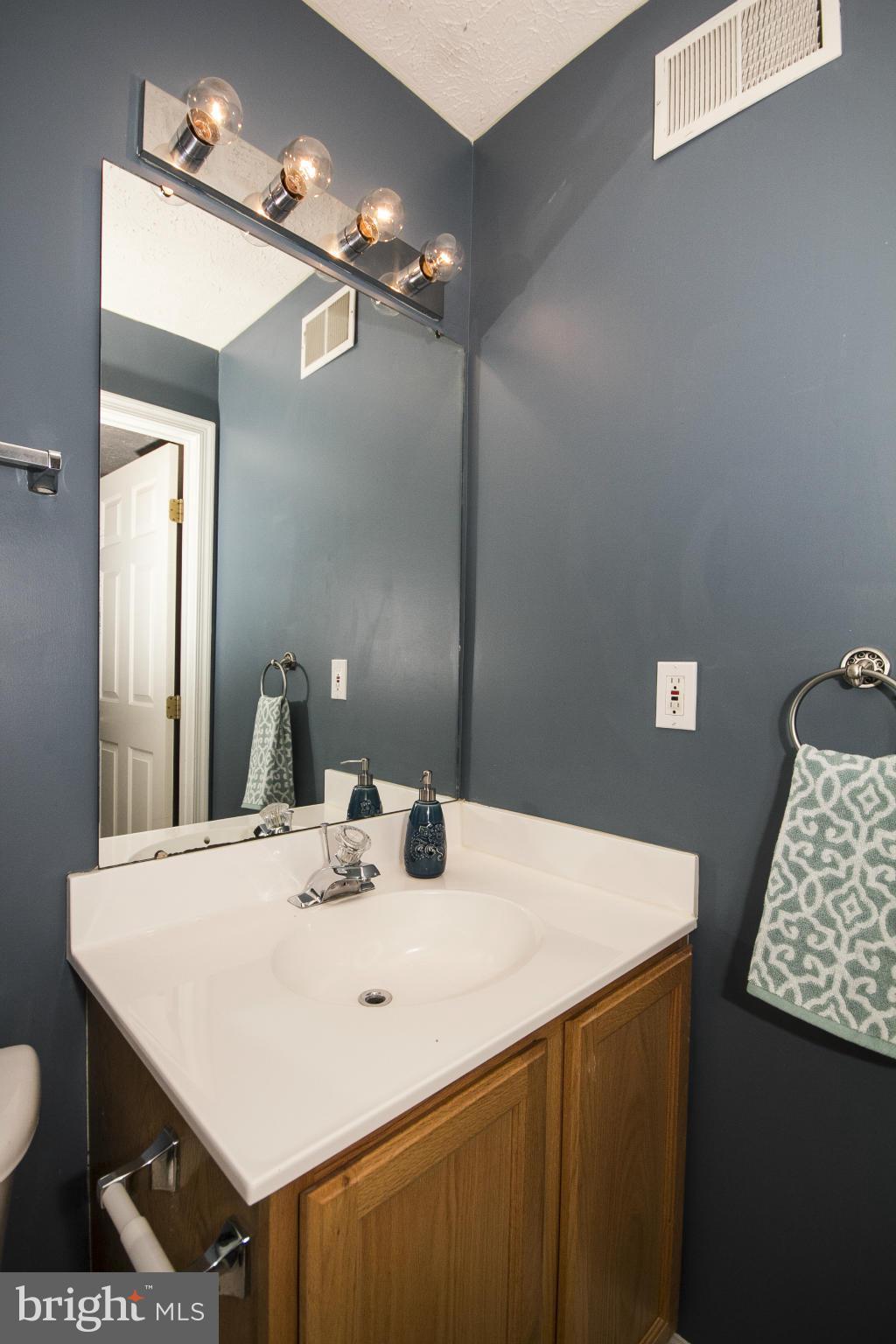 VILLAGE OF PAINTERS MILL - Residential