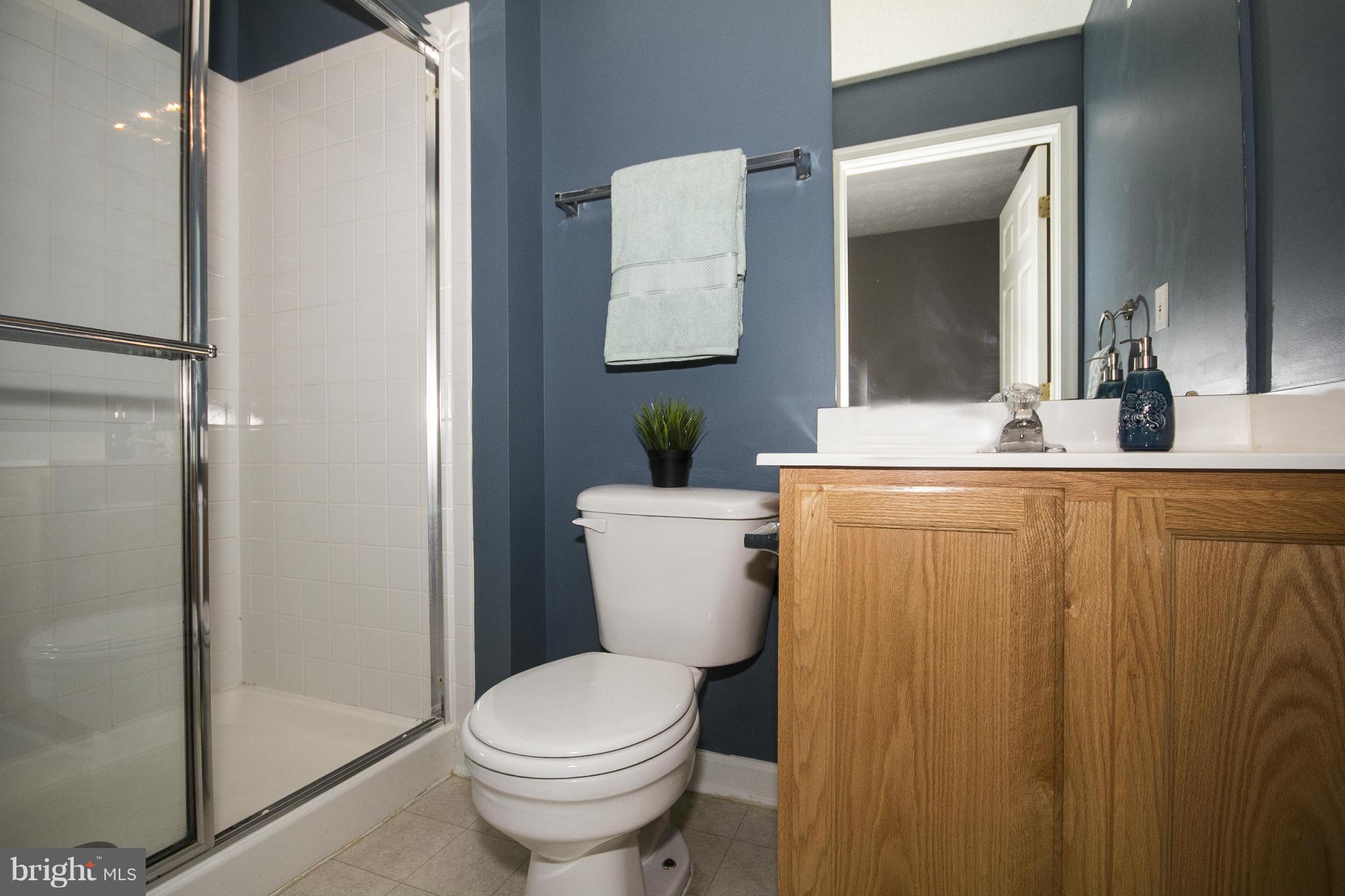 VILLAGE OF PAINTERS MILL - Residential