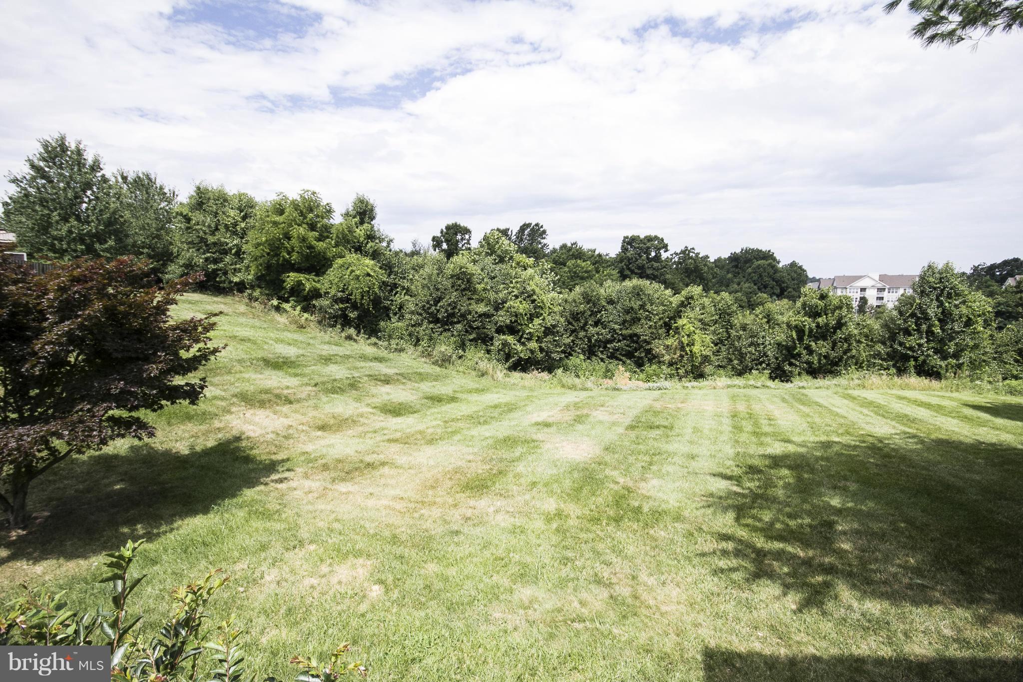 VILLAGE OF PAINTERS MILL - Residential