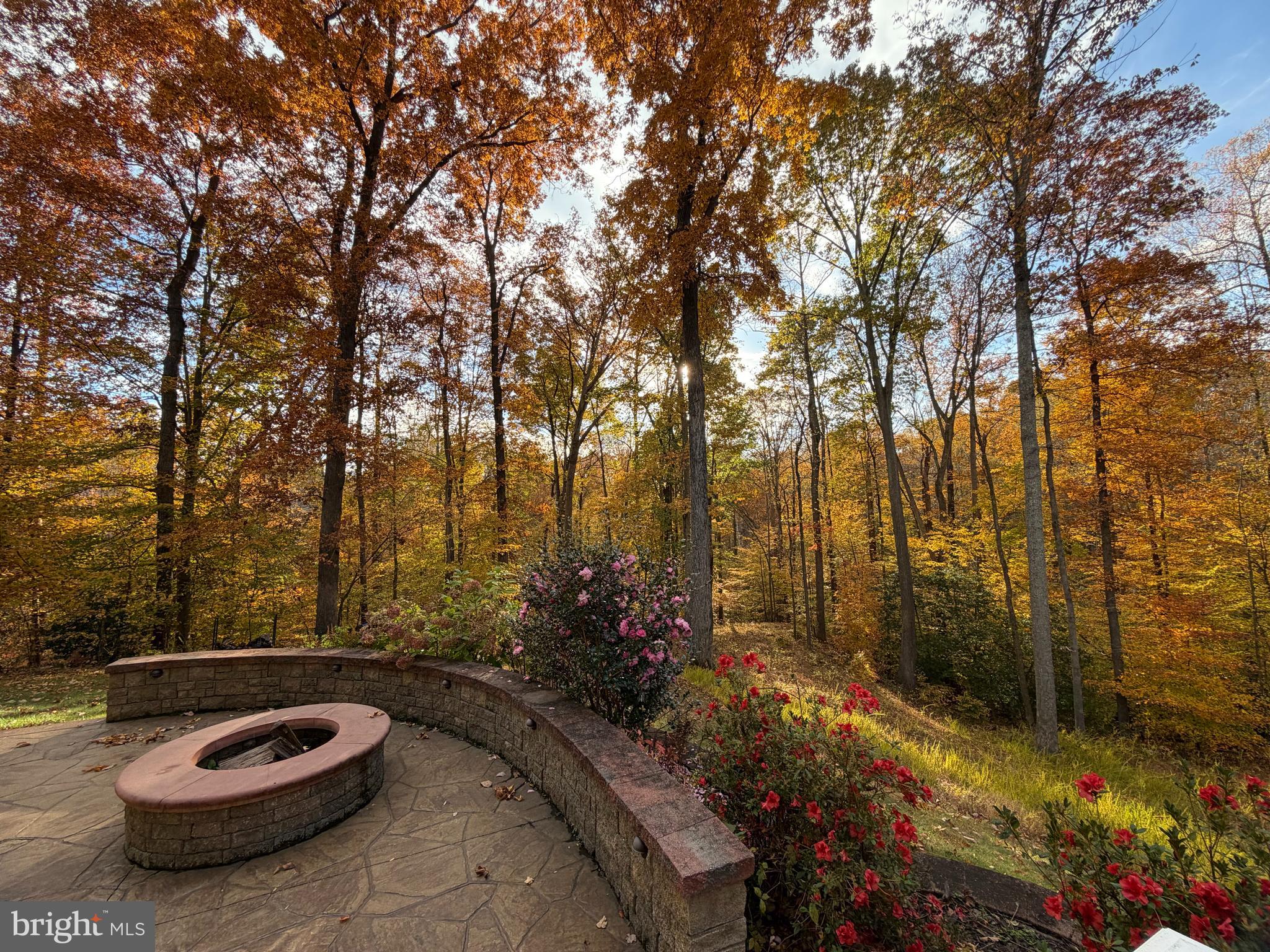 POPLAR HILLS - Residential