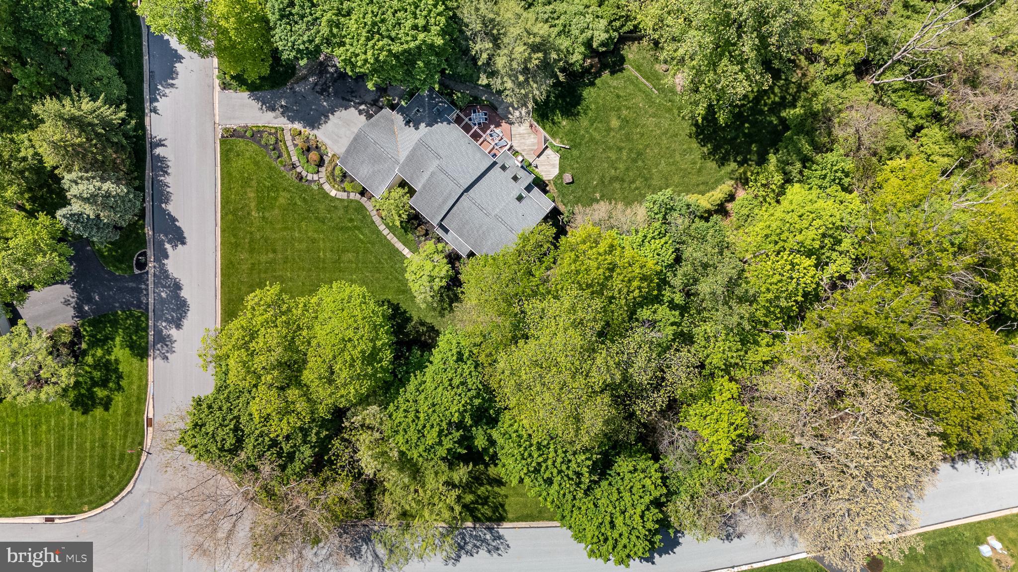 BOW TREE - Residential