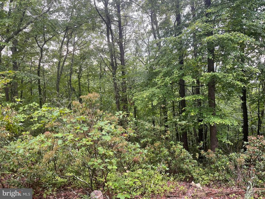 Bring all of your ideas to build your home or weekend getaway.  3 parcels consisting of a total of 15 acres.  Potential gorgeous views.  No HOA, just lake and park maintenance fees.  There is a Community Area featuring Park, Playground, Tennis, Swimming Pond, Fishing, Piers.  Keep the Property together or break it b ack up.  The Possibility of Your Dreams Coming True is Right Around the Corner. Note: Road/Park fee is $900.00 ($300.00 per parcel) annually.