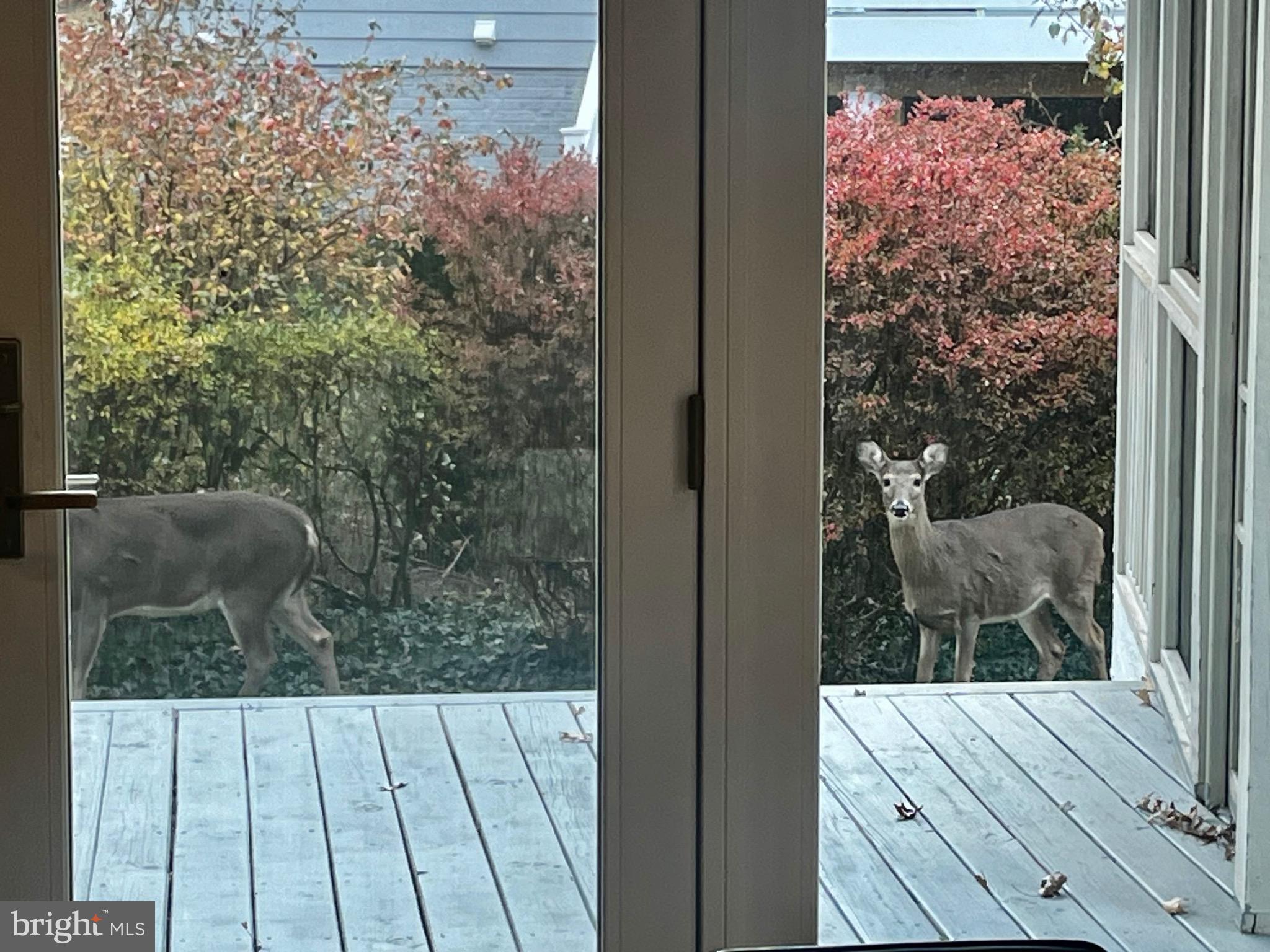 WEST LEWINSVILLE HEIGHTS - Residential Lease