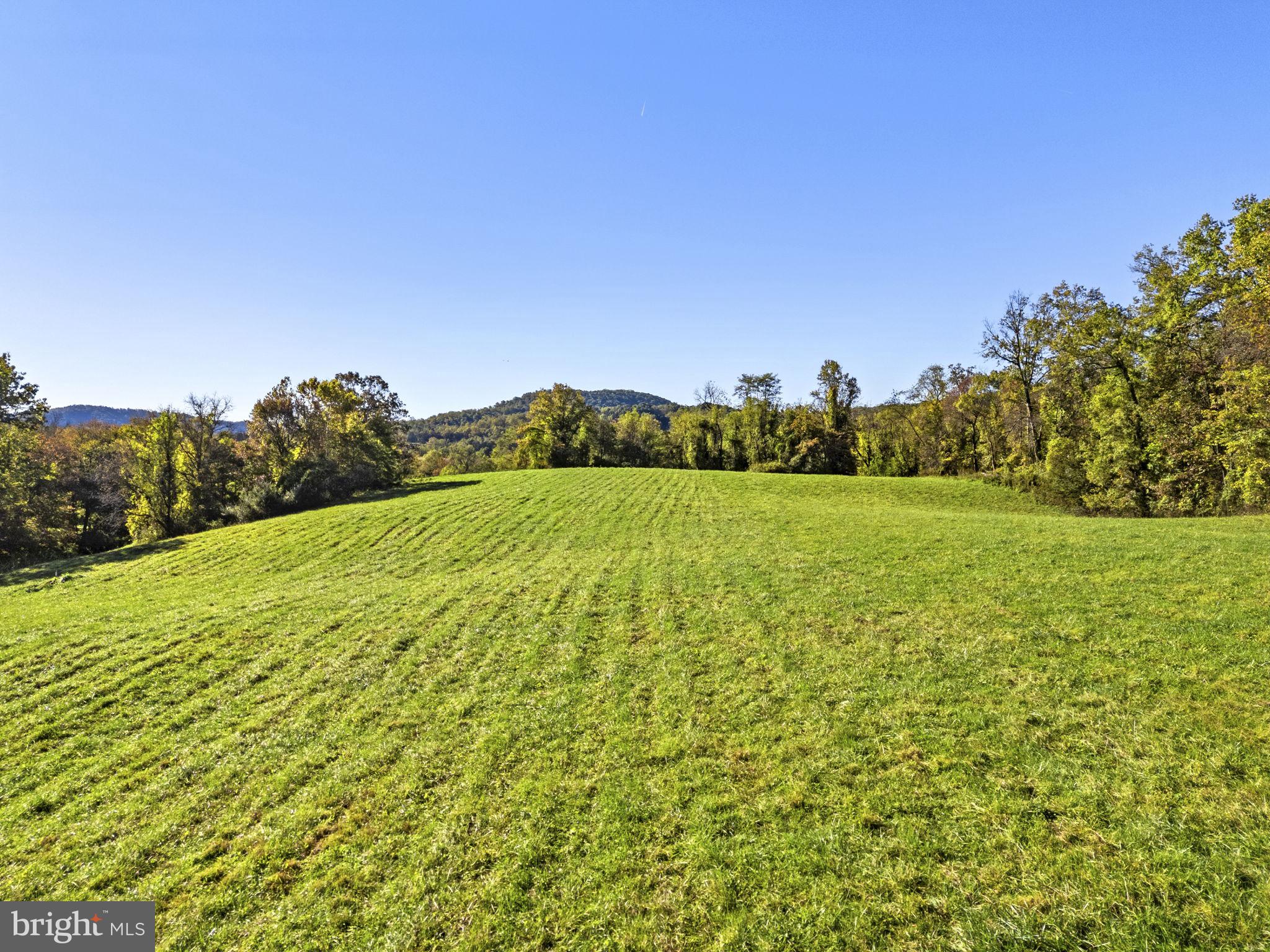 03 VINEYARD LANE