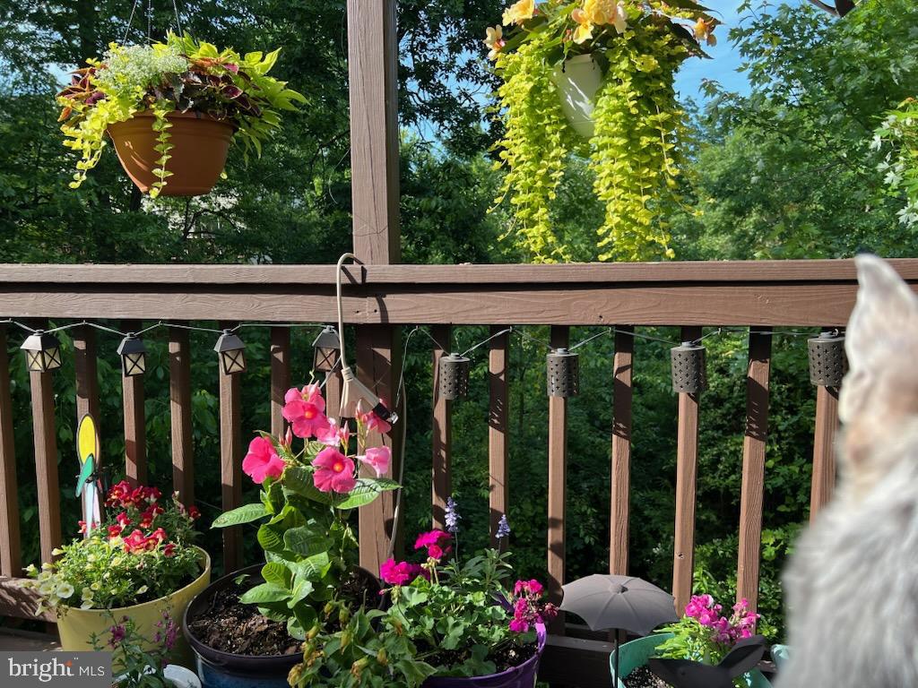 WOODLAND PARK - Residential