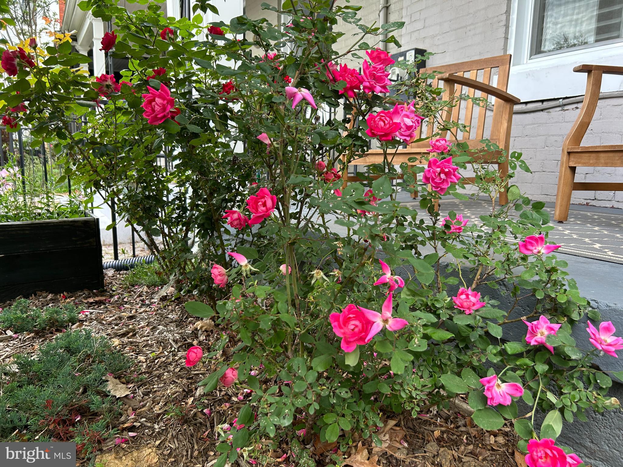 U STREET - Residential Lease