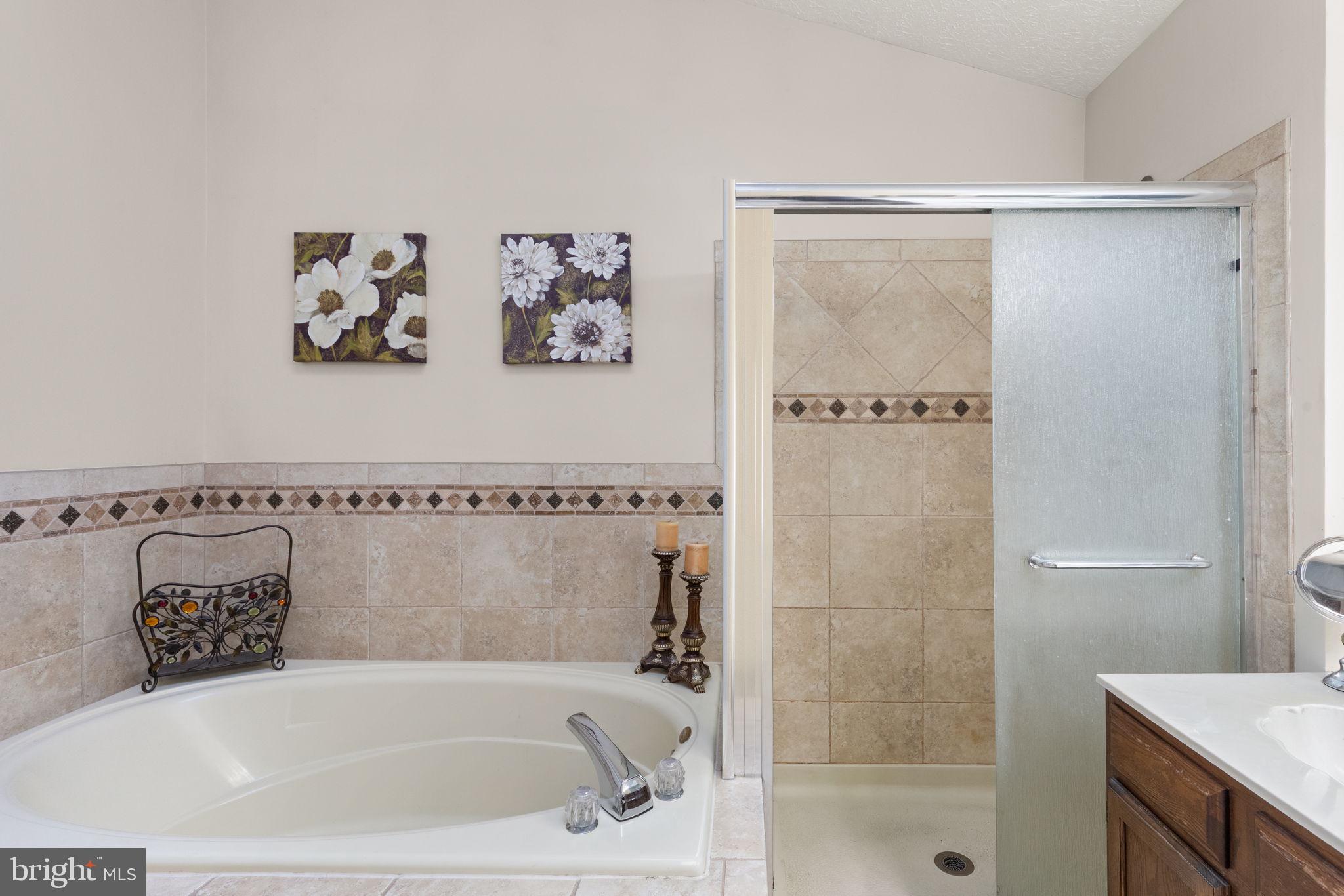 CLOVERFIELD - Residential