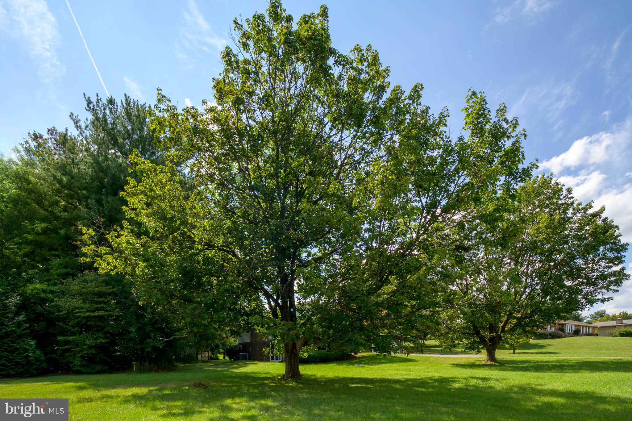 SUN VALLEY - Residential
