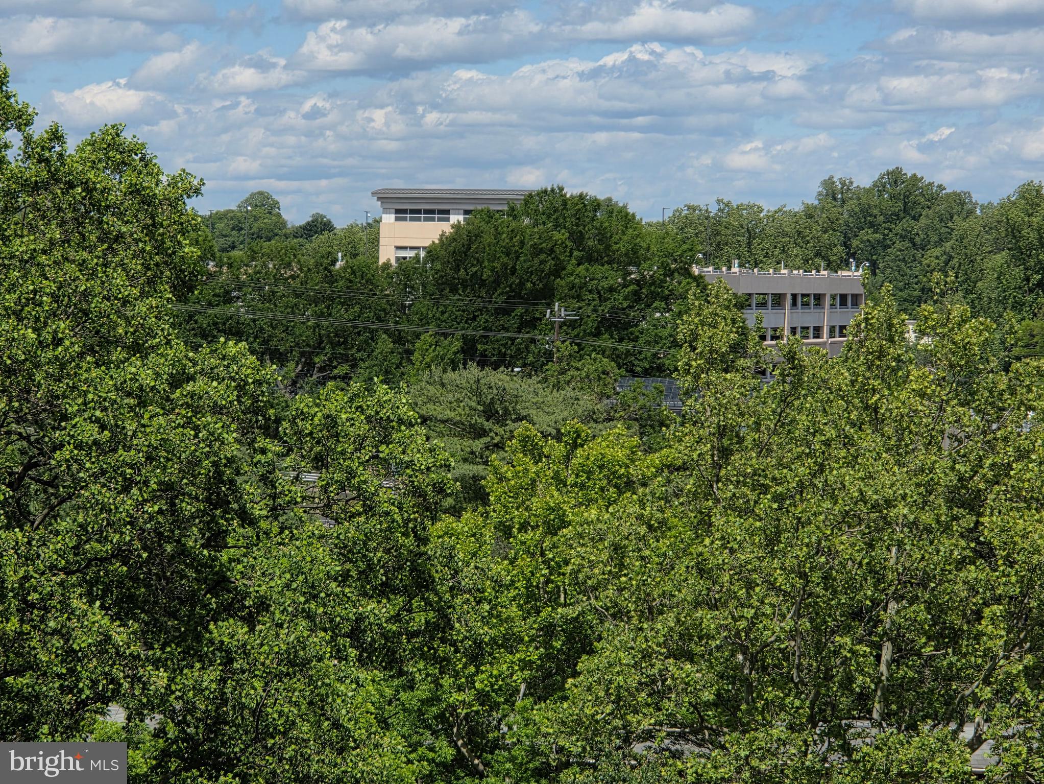 GROSVENOR PARK - Residential Lease