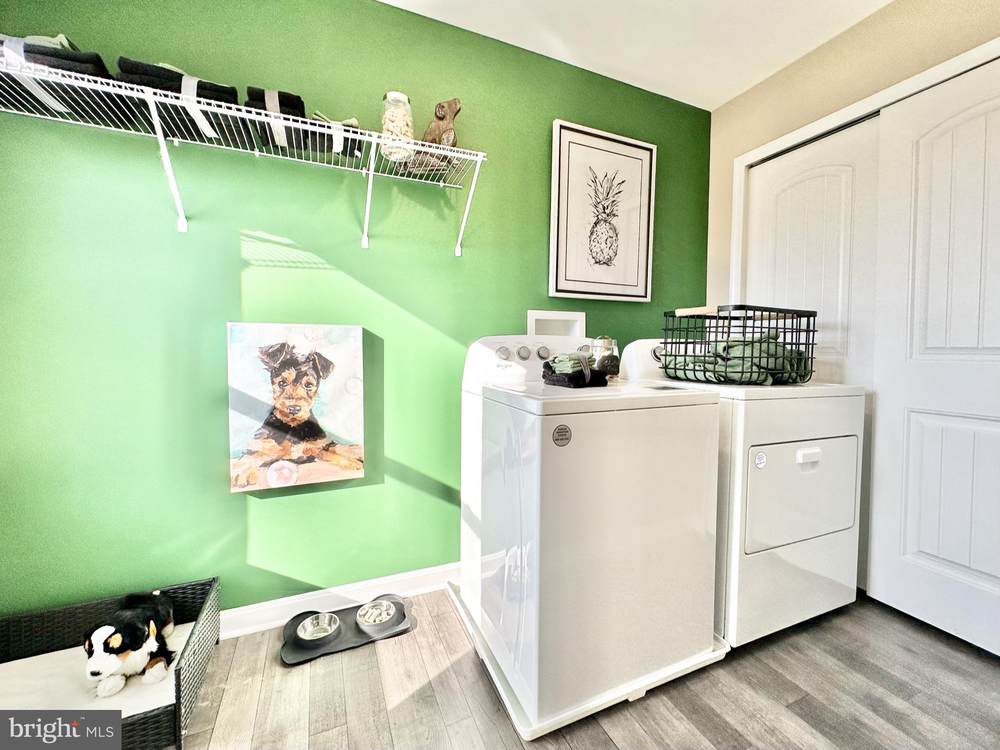 THE VILLAGE AT CHESTERTOWN - Residential