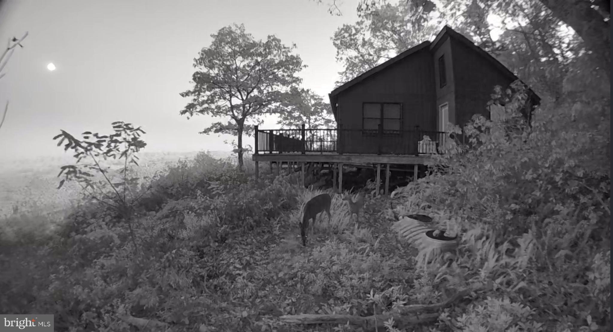 829 KILE KNOB ROAD