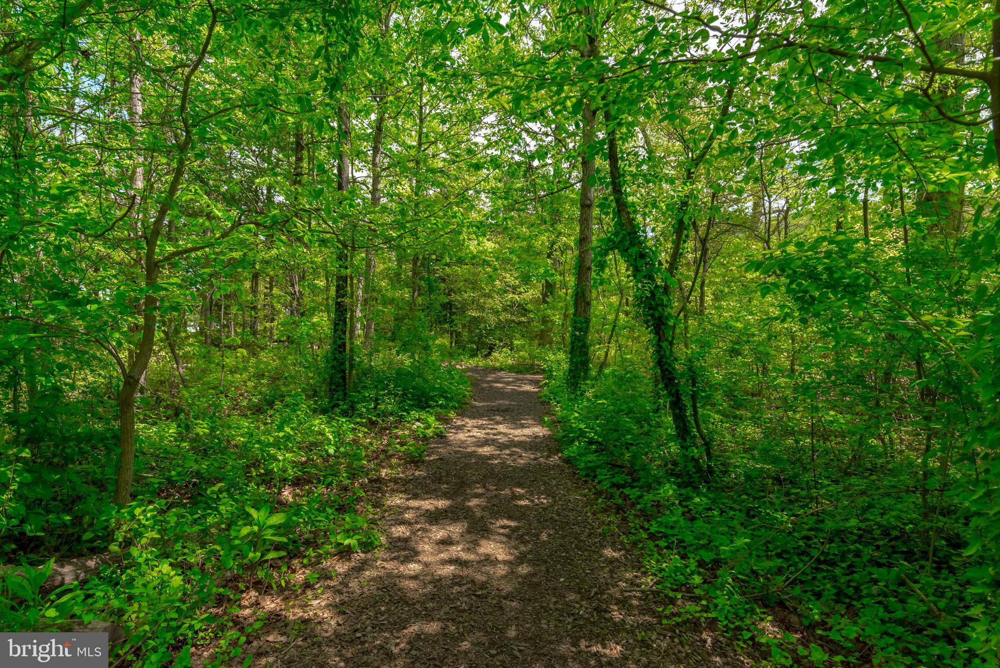 WATERS EDGE - Residential