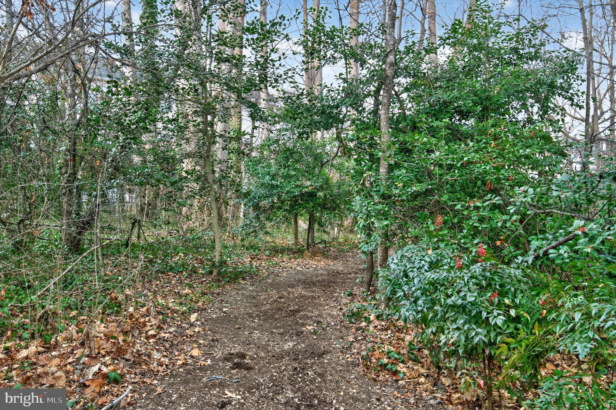 WATERS EDGE - Residential