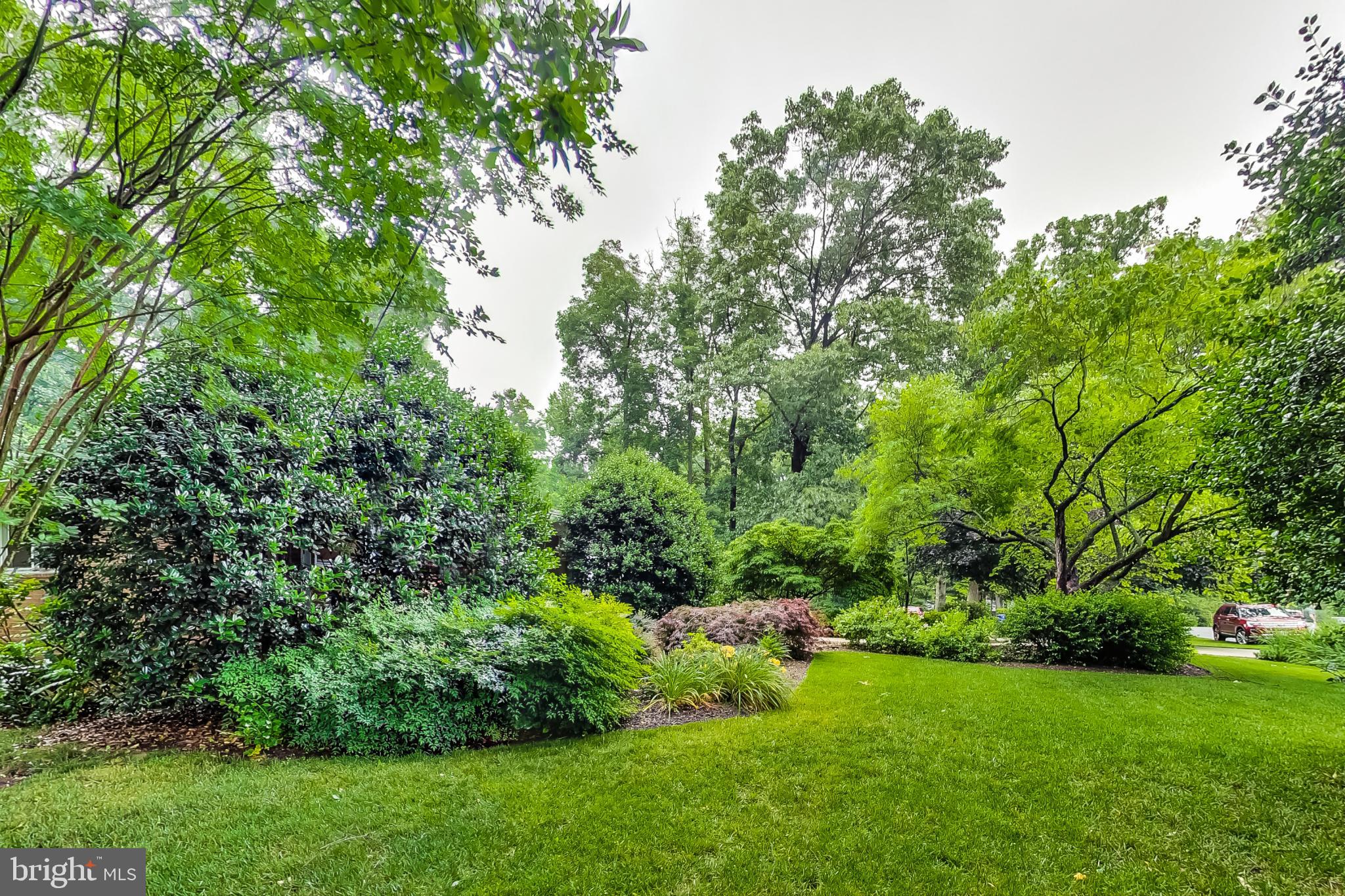 MAYDALE - Residential