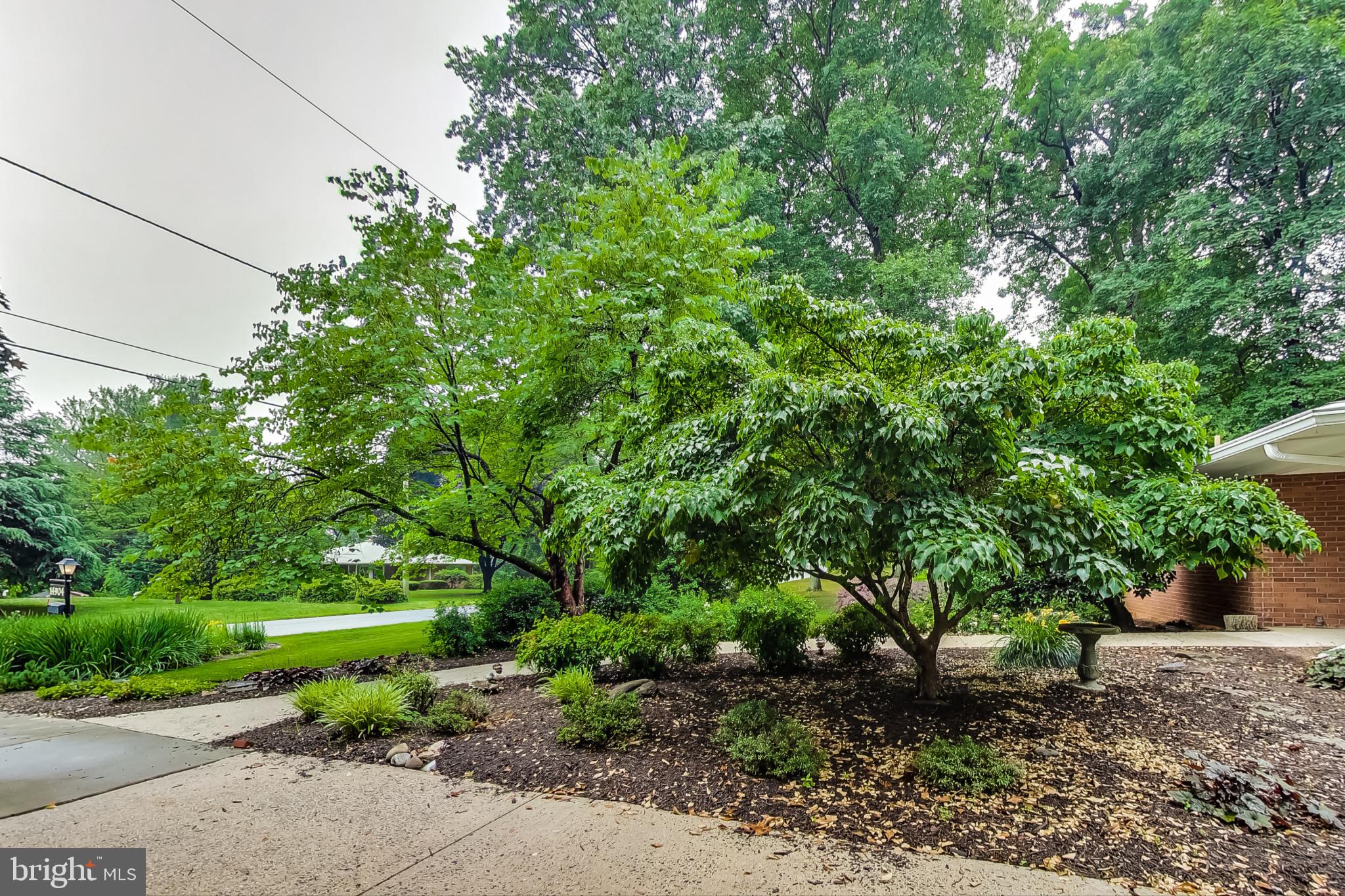 MAYDALE - Residential