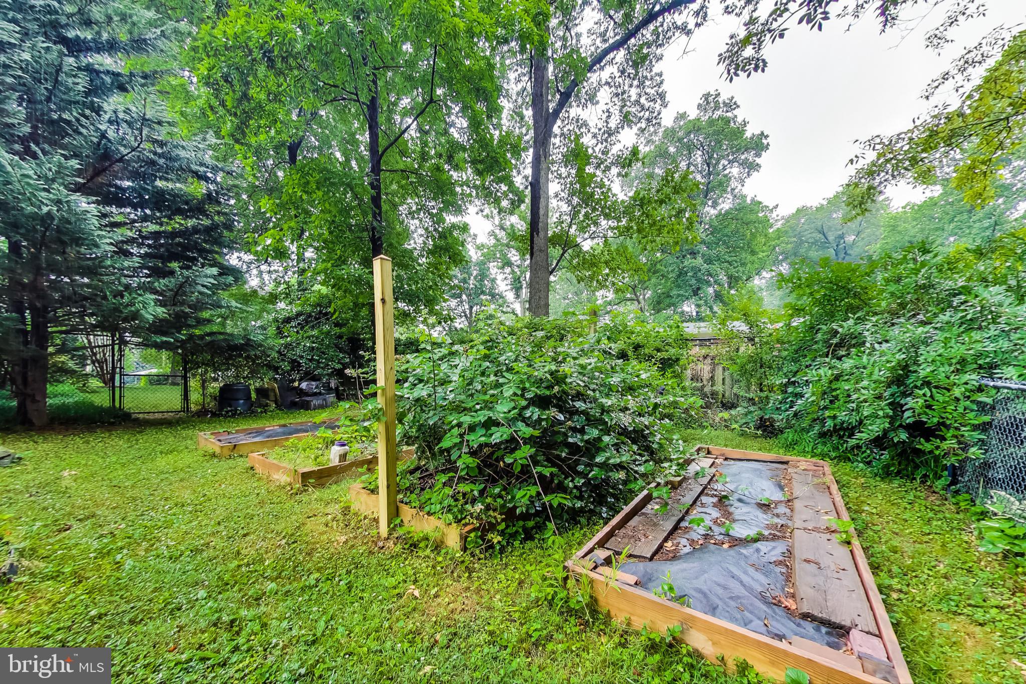 MAYDALE - Residential