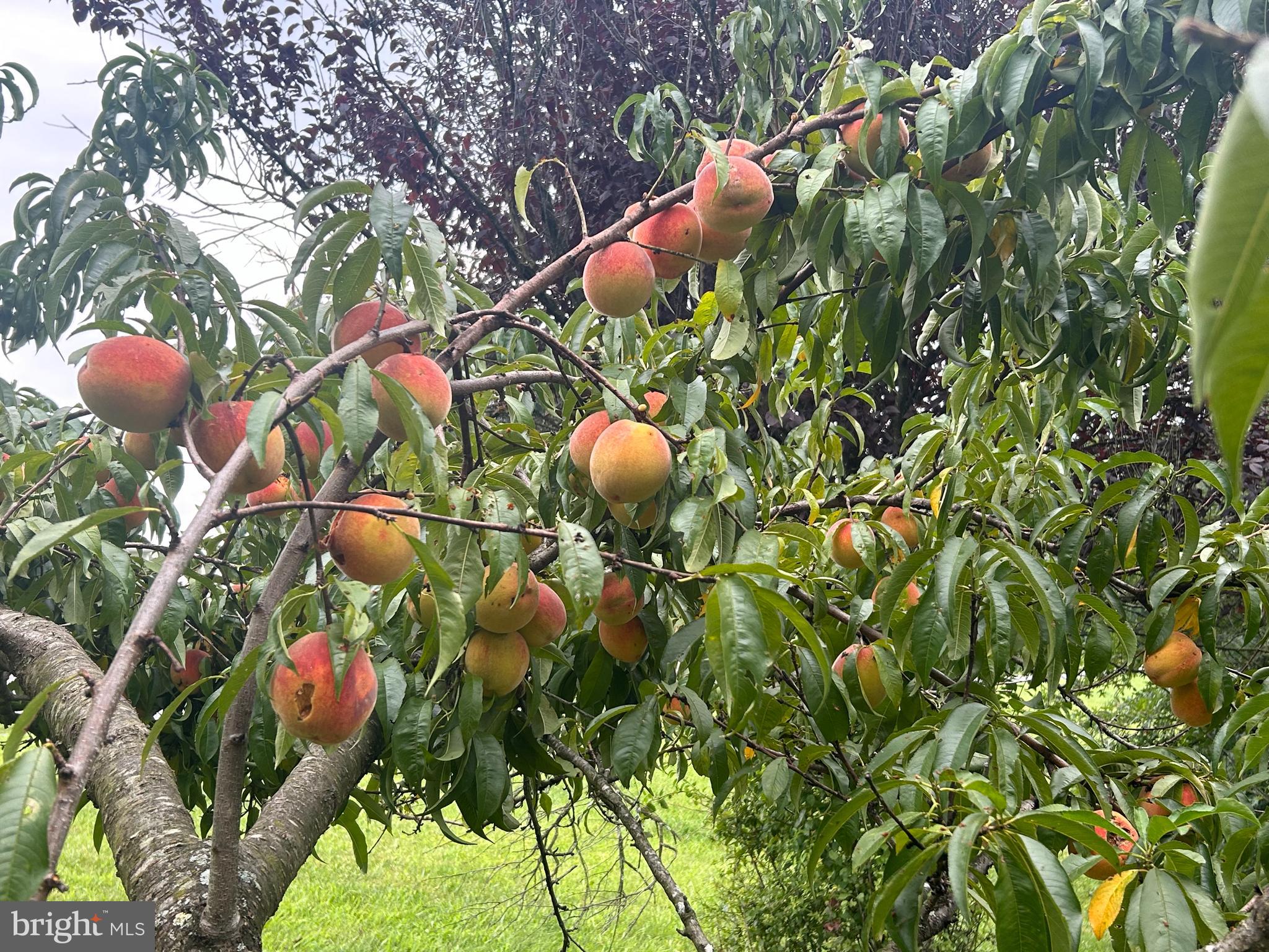 RIVERSIDE ON THE POTOMAC - Residential