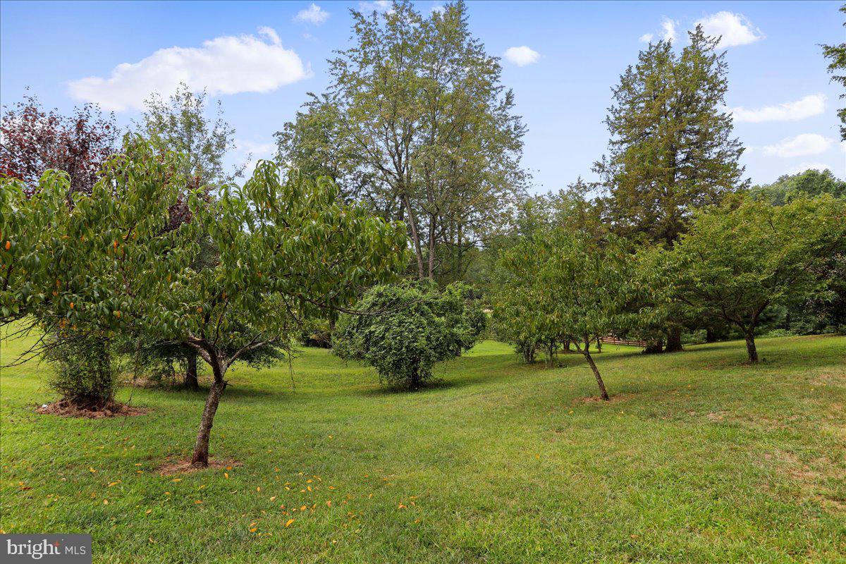 RIVERSIDE ON THE POTOMAC - Residential
