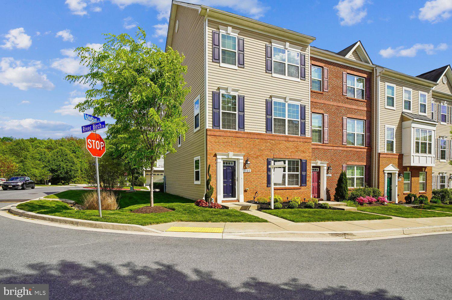 DORCHESTER VIEW - Residential