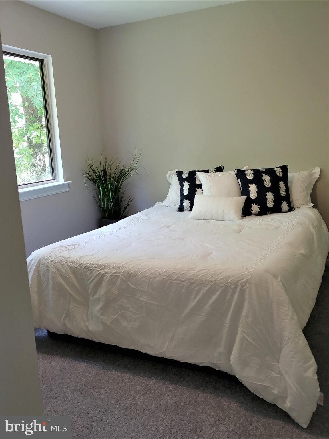 OAK TREE - Residential