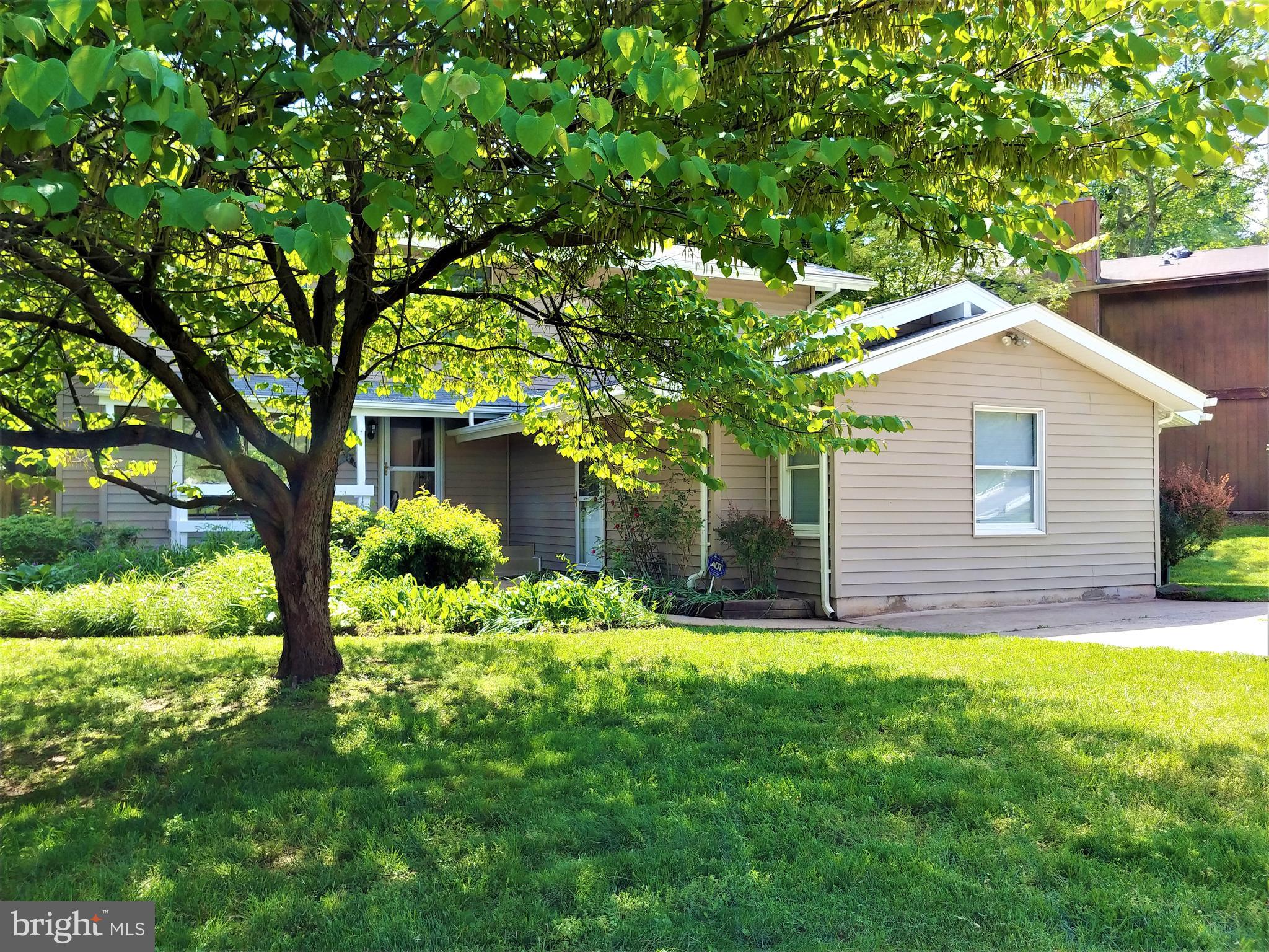 OAK TREE - Residential