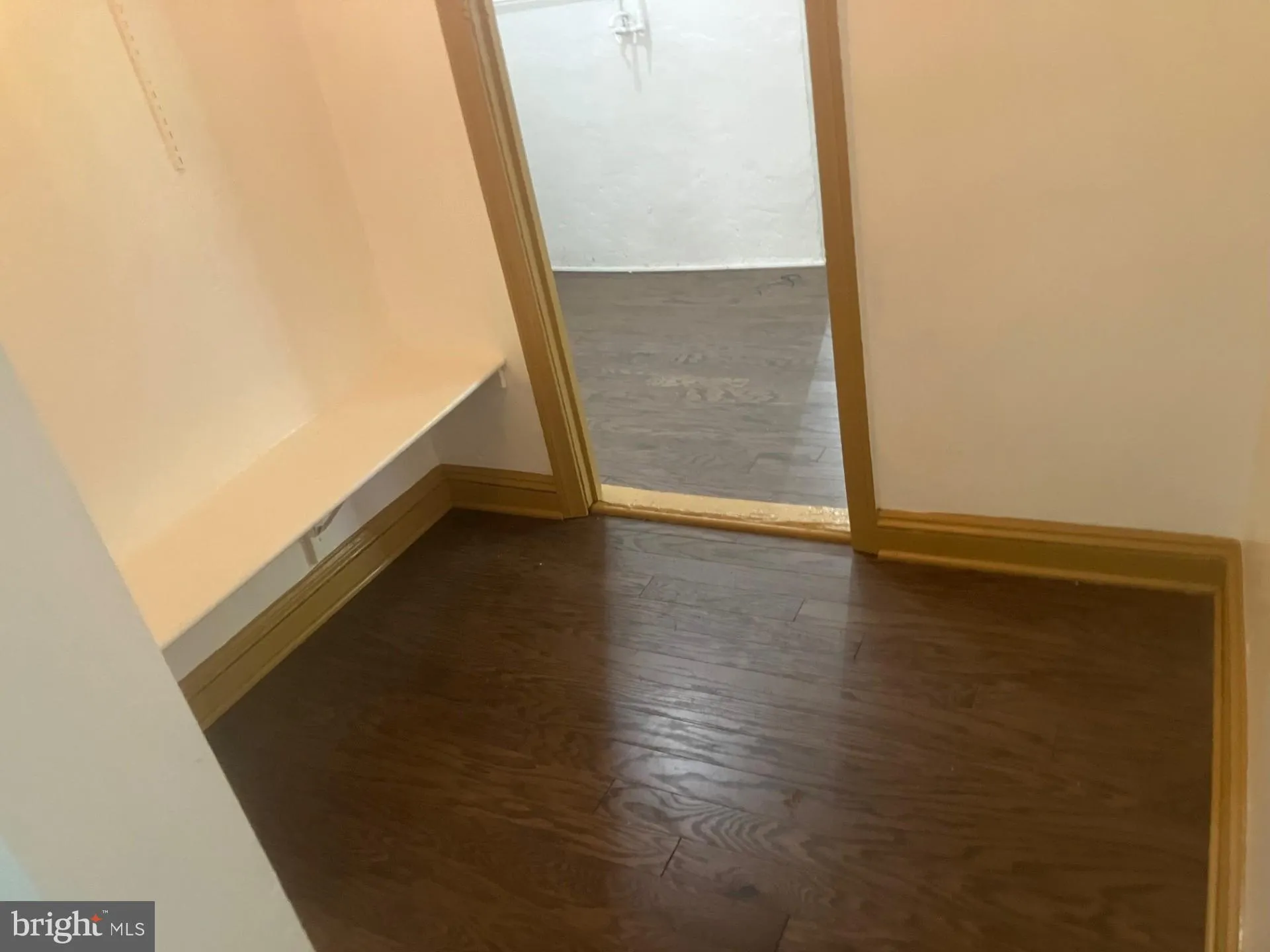 Additional image 138 of 315 Circle Avenue, Takoma Park, MD 20912