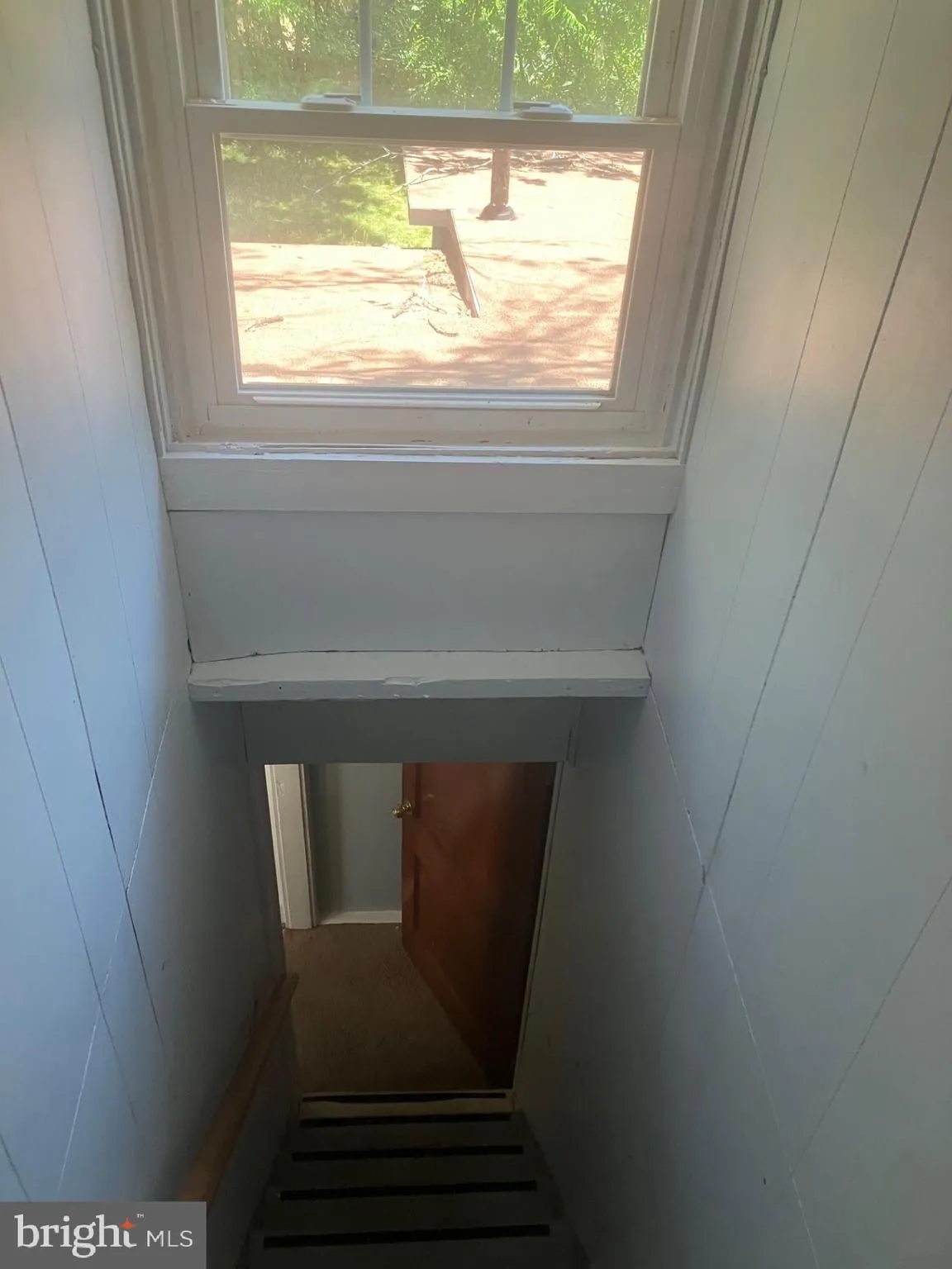 Additional image 117 of 315 Circle Avenue, Takoma Park, MD 20912