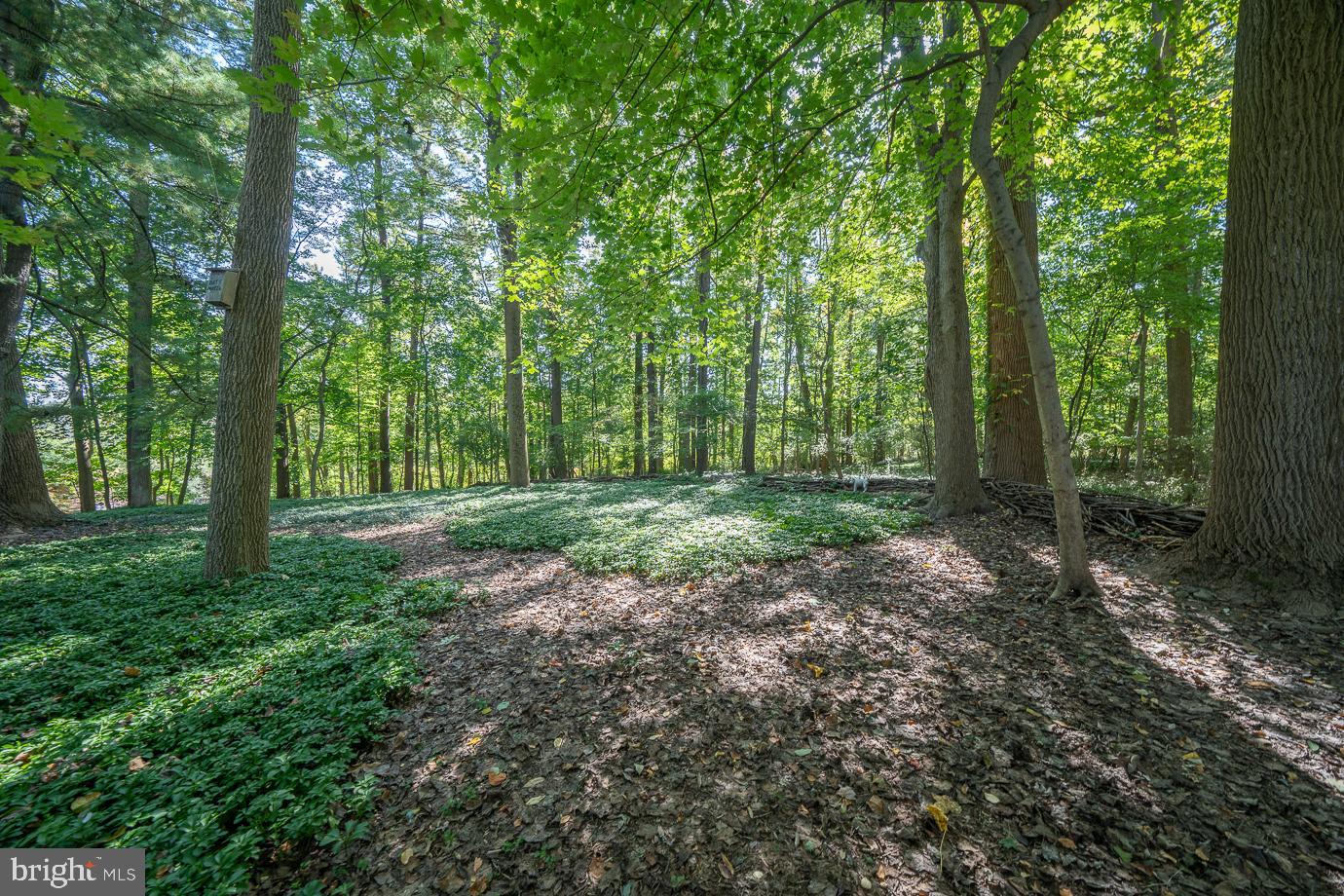 EARLES LAKE - Residential