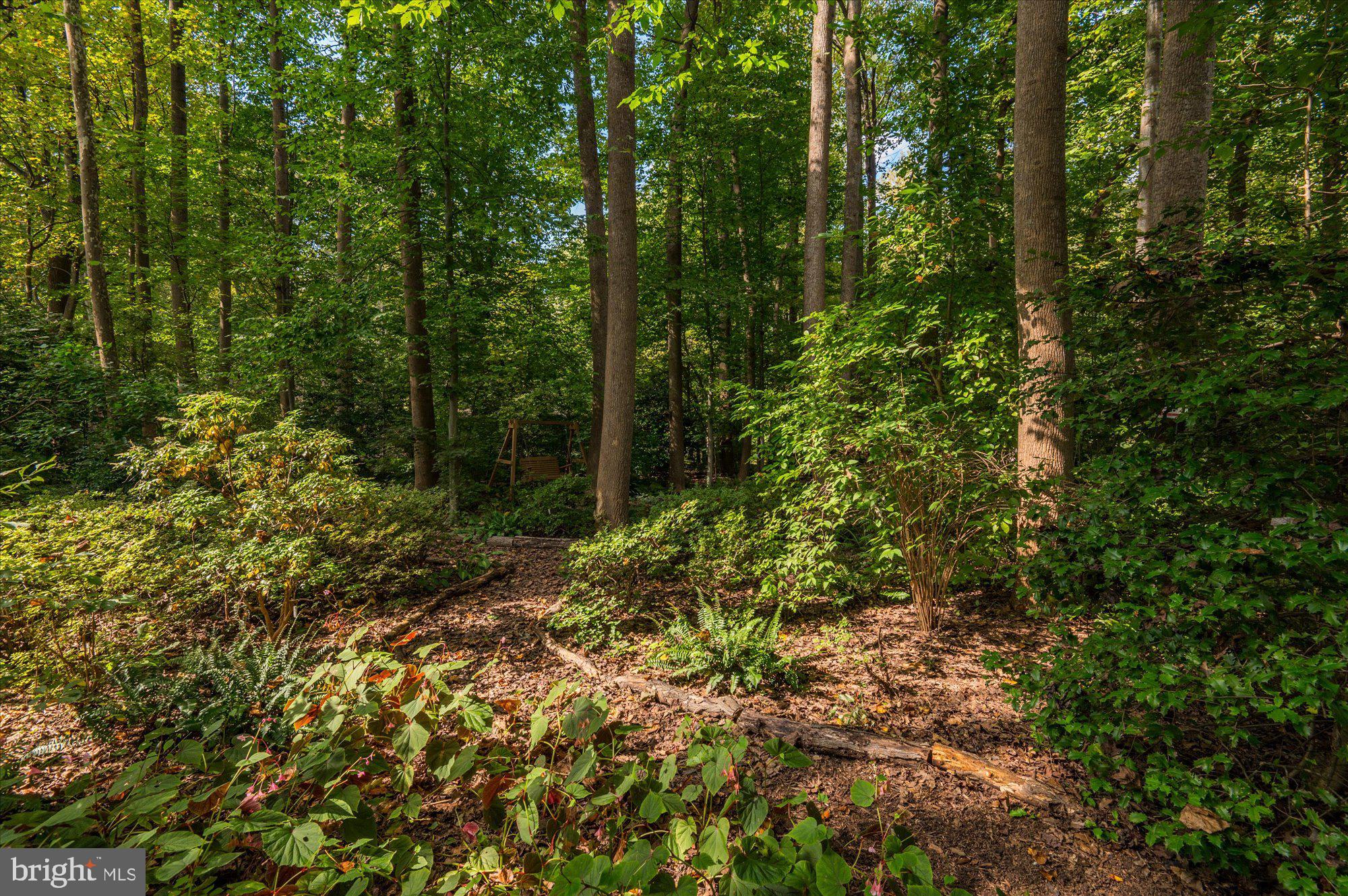 POTOMAC OUTSIDE - Residential