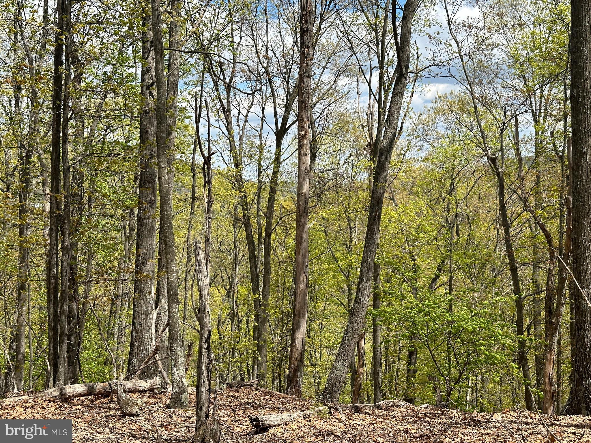 LOST RIVER MOUNTAIN - Land