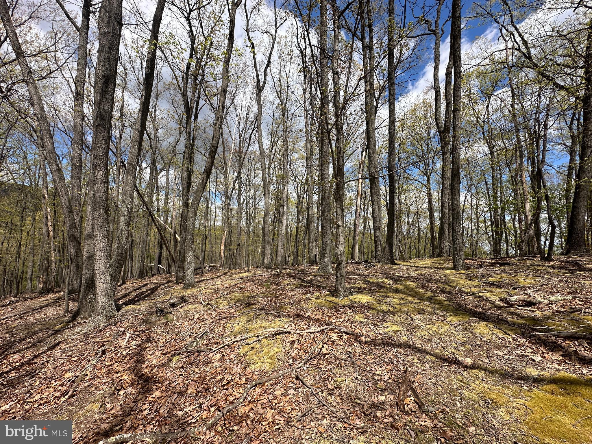 LOST RIVER MOUNTAIN - Land