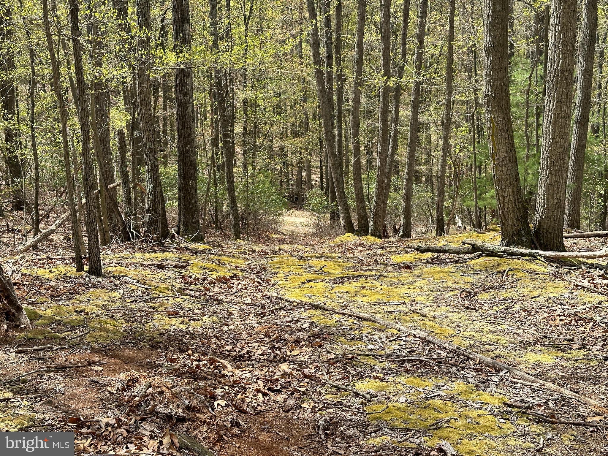 LOST RIVER MOUNTAIN - Land