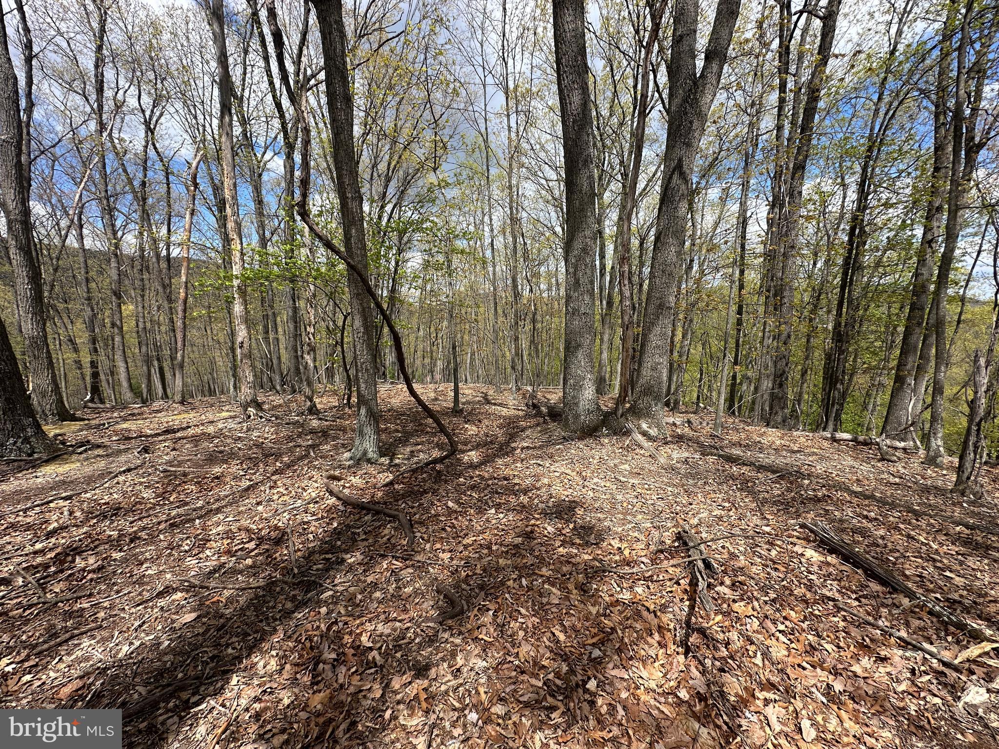 LOST RIVER MOUNTAIN - Land