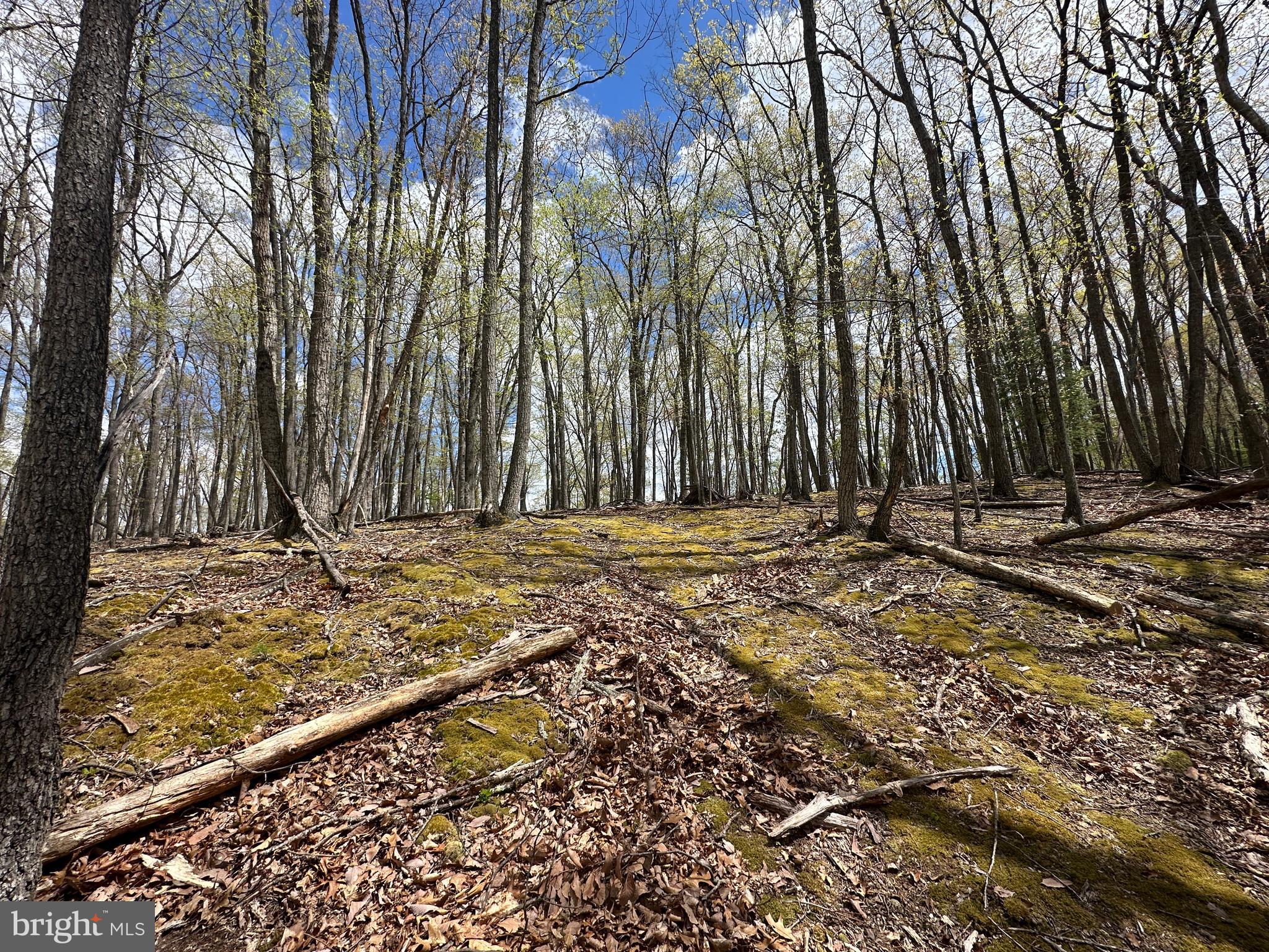 LOST RIVER MOUNTAIN - Land