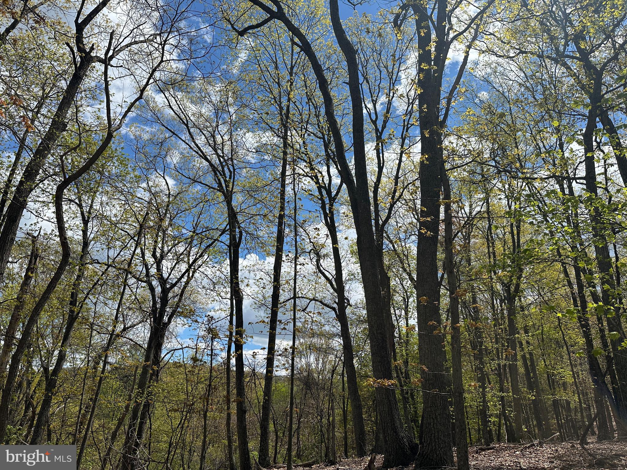 LOST RIVER MOUNTAIN - Land