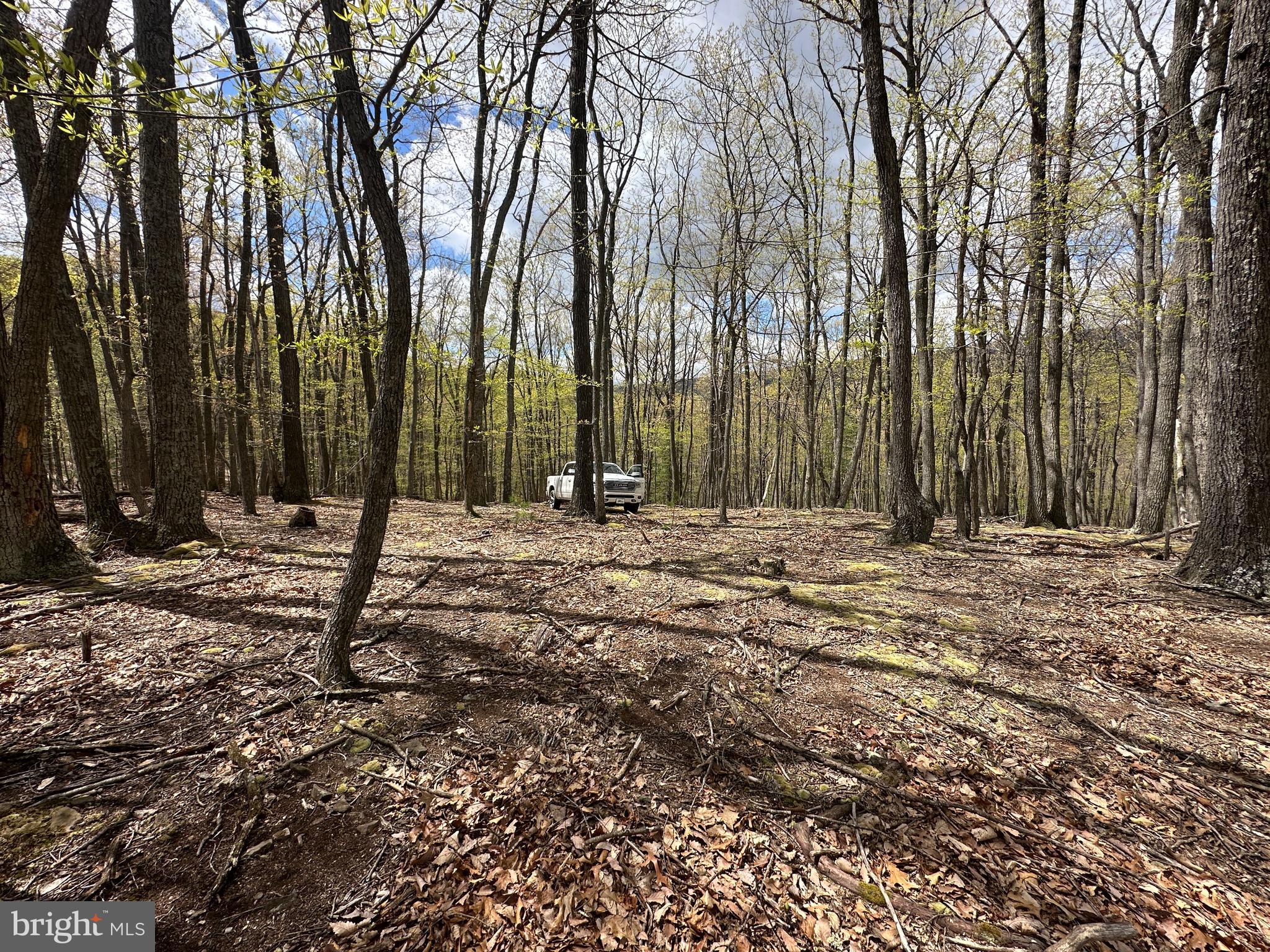 LOST RIVER MOUNTAIN - Land