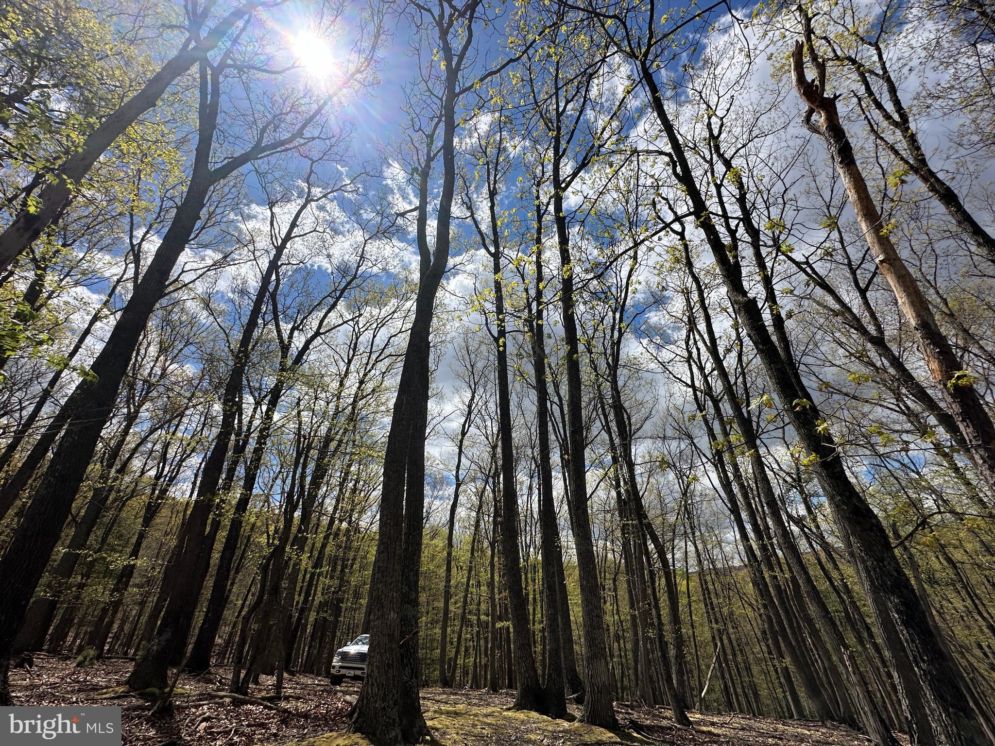 LOST RIVER MOUNTAIN - Land