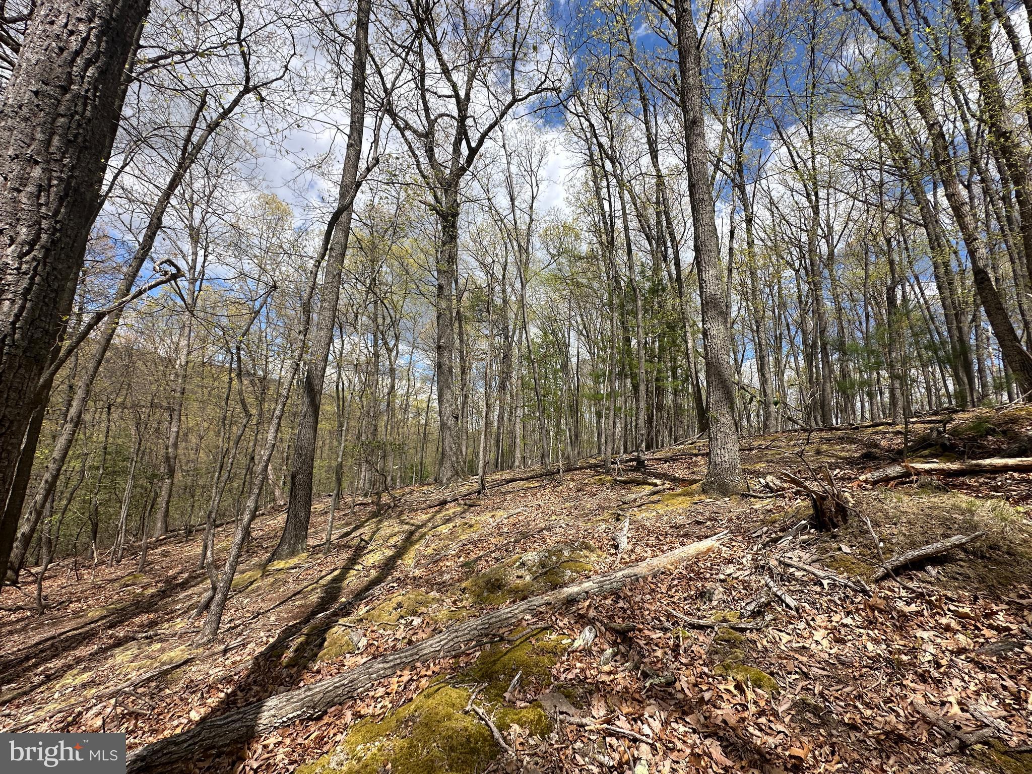 LOST RIVER MOUNTAIN - Land