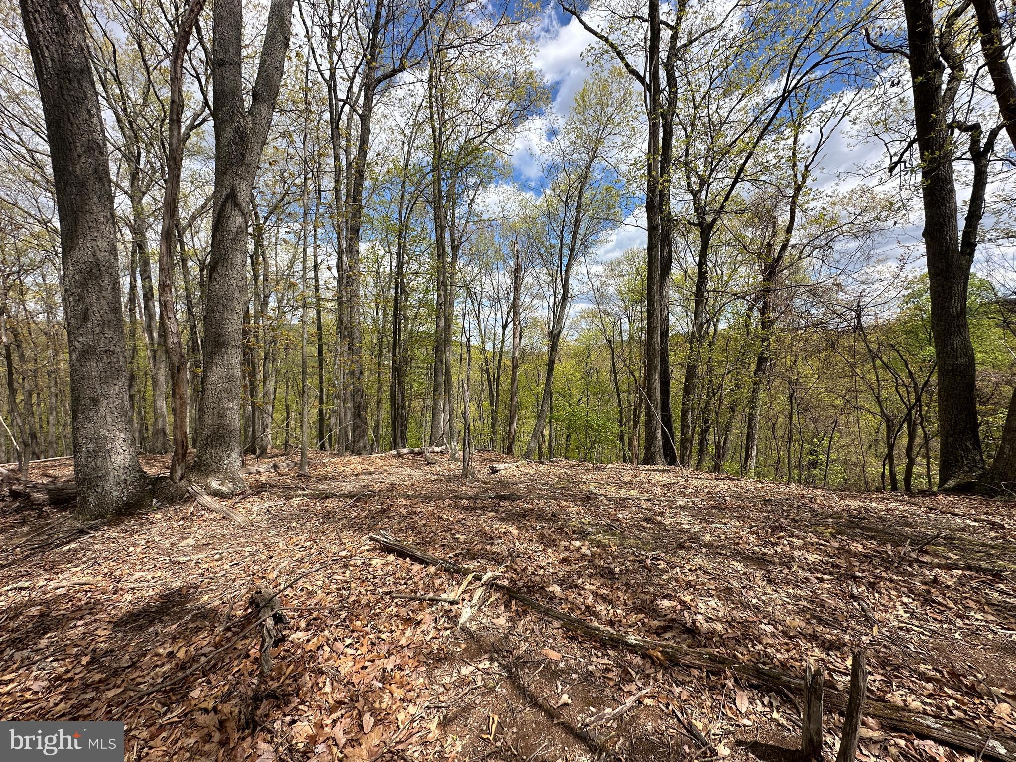 LOST RIVER MOUNTAIN - Land