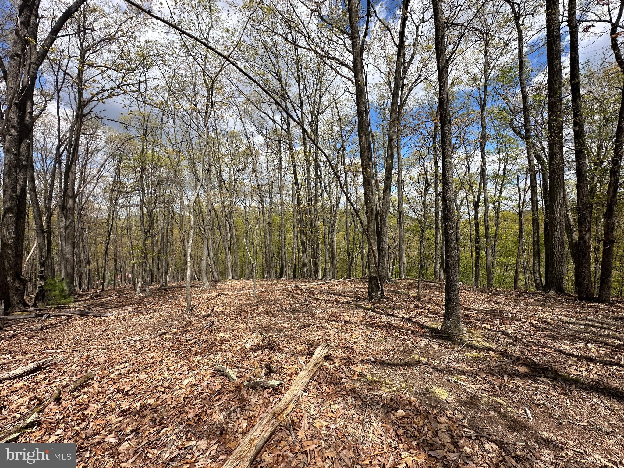 LOST RIVER MOUNTAIN - Land