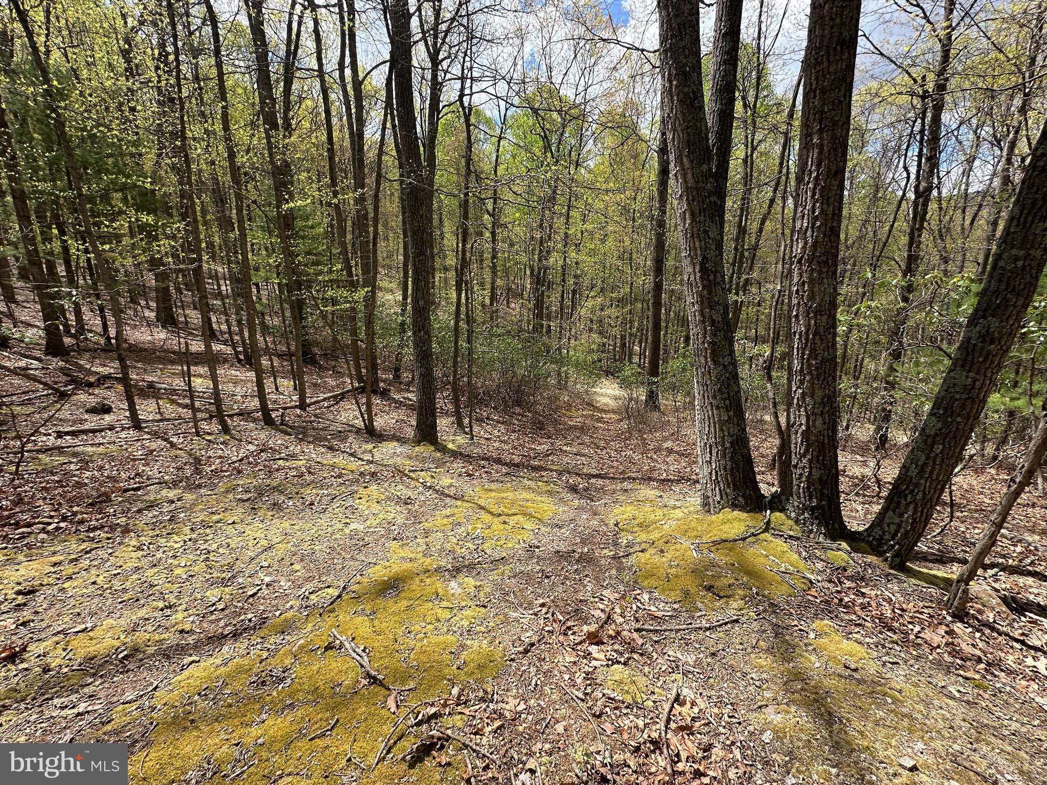 LOST RIVER MOUNTAIN - Land