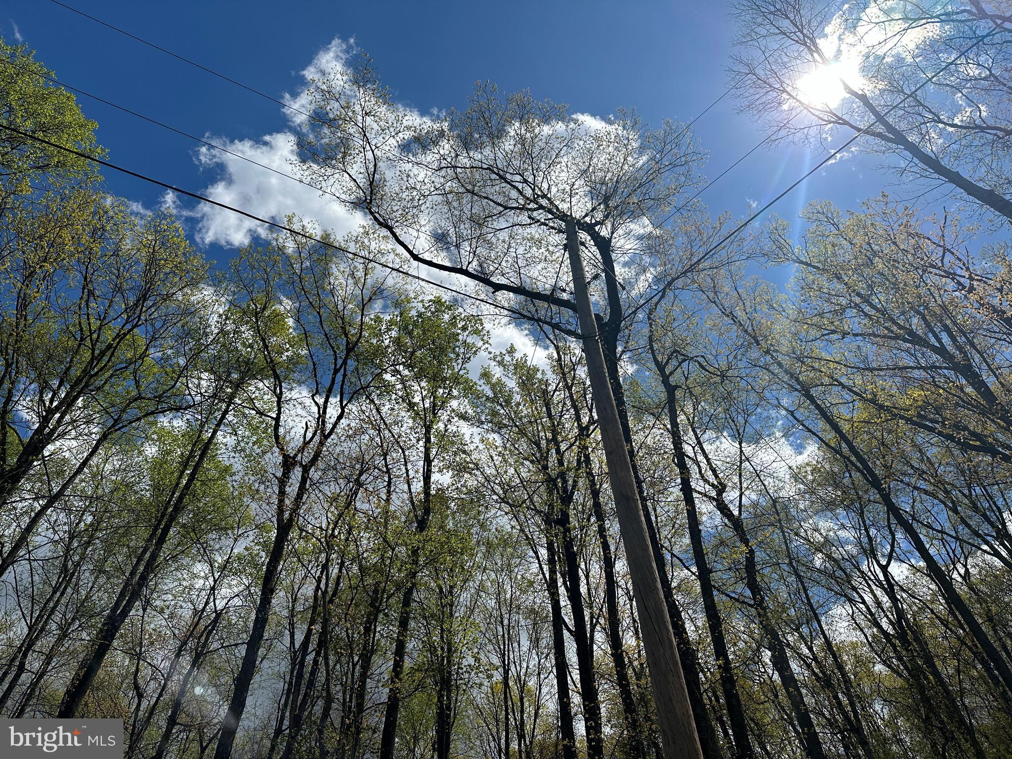 LOST RIVER MOUNTAIN - Land
